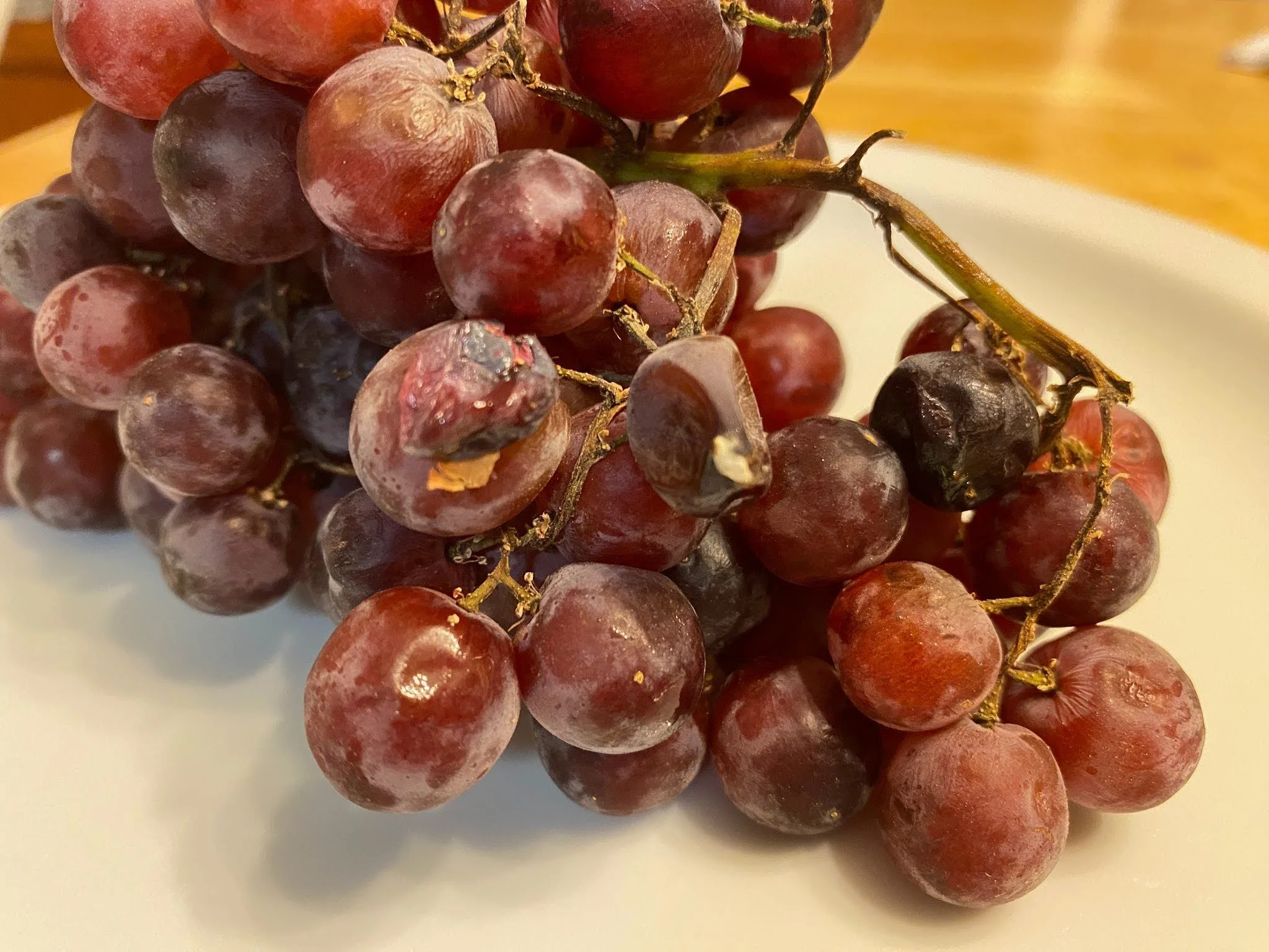 A bunch of red grapes on a plate with some visible white mold.