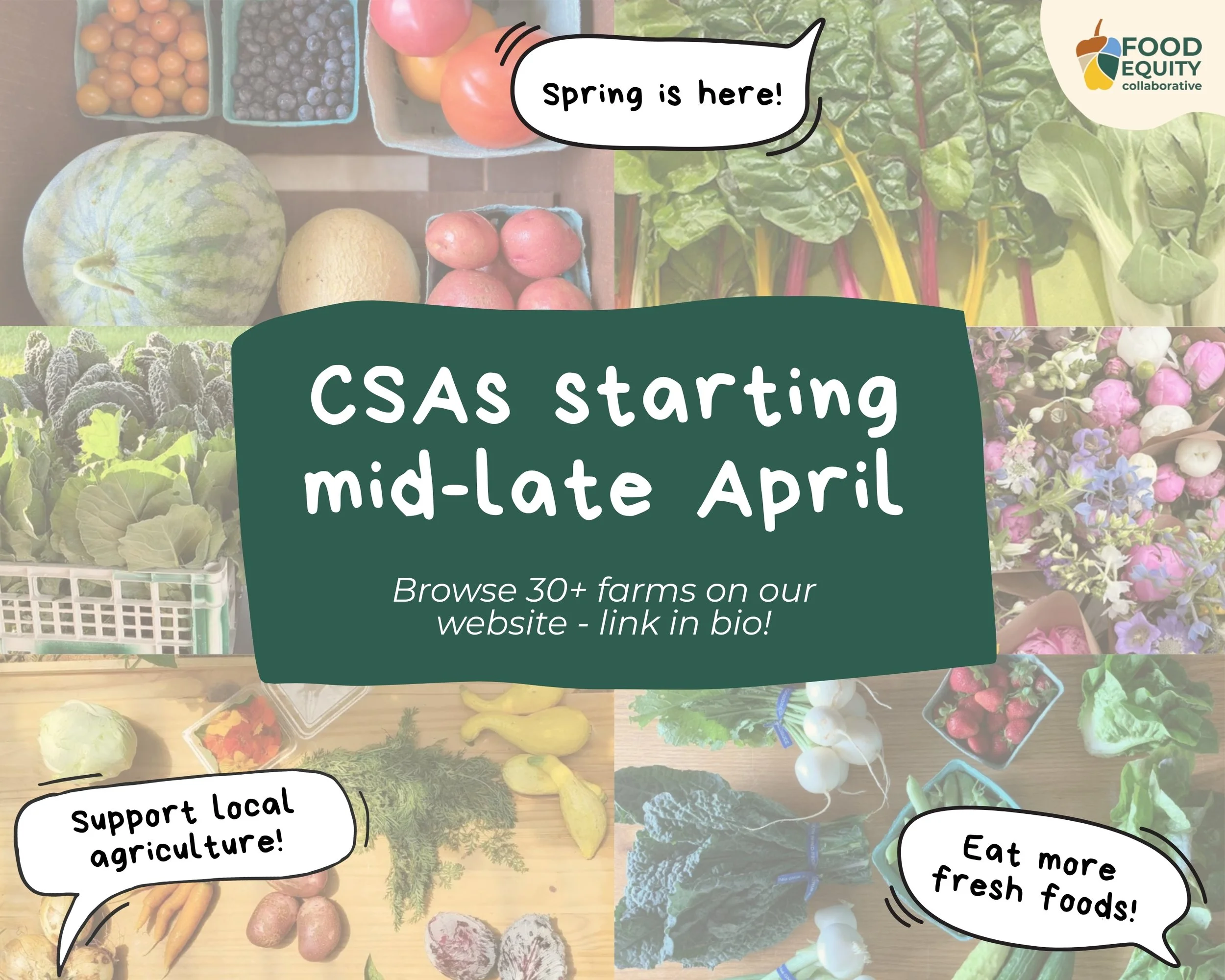 Text reads "CSAs starting in mid-late April! Browse 30+ farms on our website, link in bio". Speech bubbles say, "Spring is here!", "Support local agriculture", and "Eat more fresh foods!" Background features muted images of various farms' CSAs. 