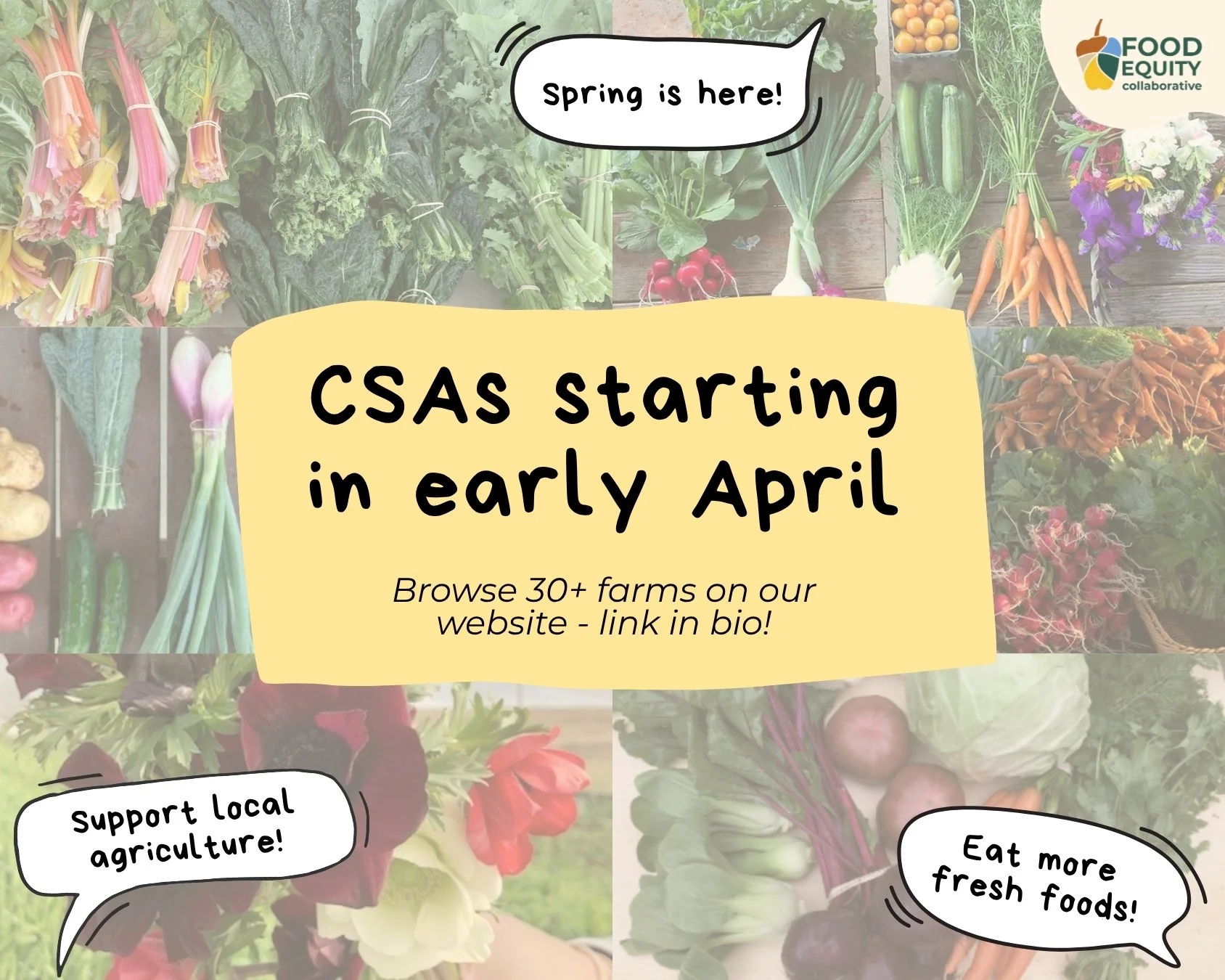 Text reads "CSAs starting in early April! Browse 30+ farms on our website, link in bio". Speech bubbles say, "Spring is here!", "Support local agriculture", and "Eat more fresh foods!" Background features muted images of various farms' CSAs. 