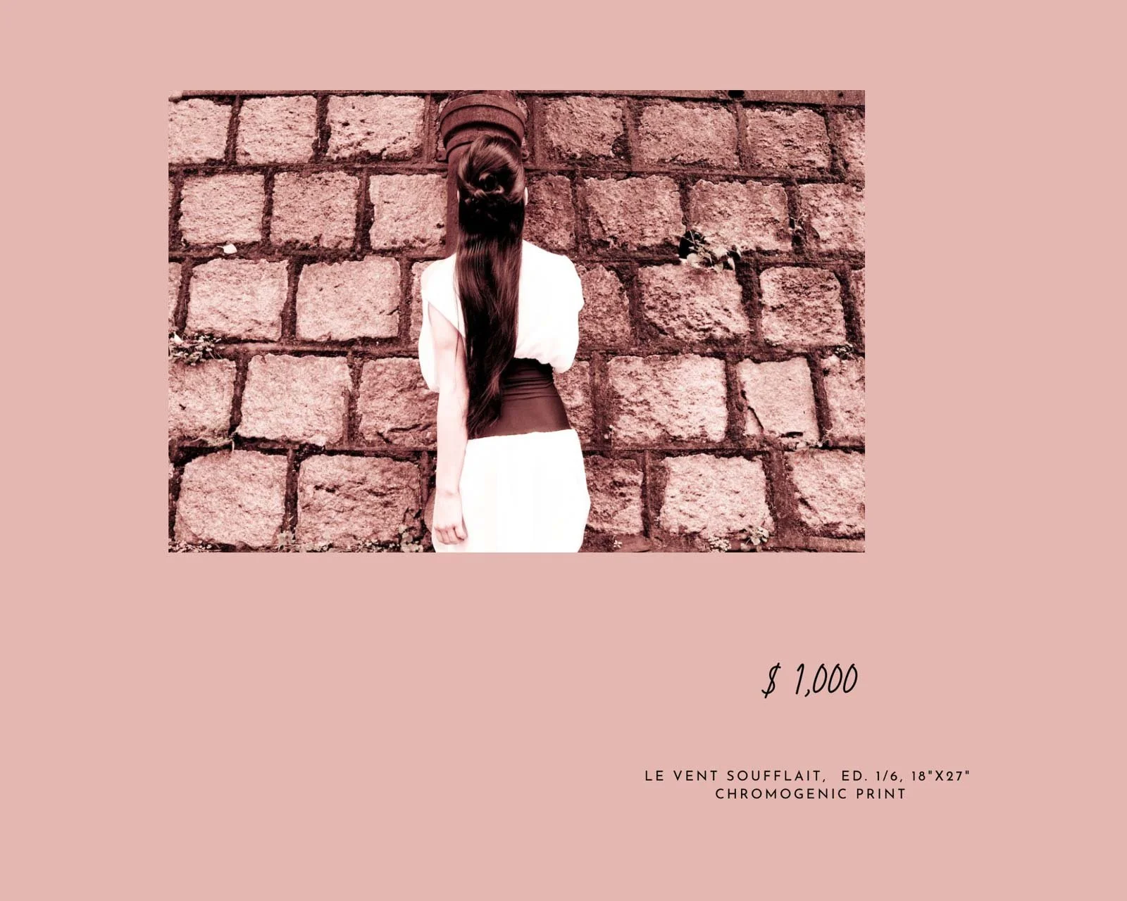 photography-monique-lai-le vent soufflait-framed.jpg