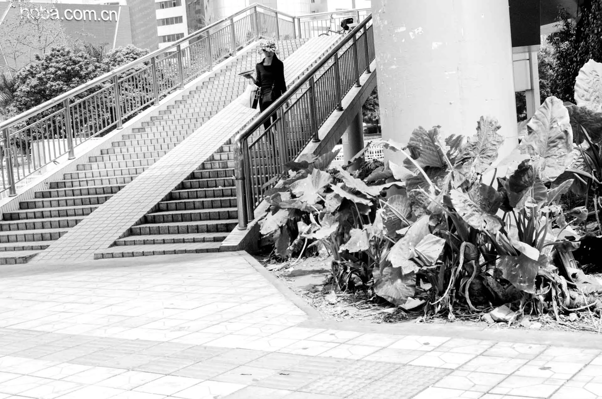 stairs_with_bike_ramp_and_elephant_ears_shenzhen_DSC5675.jpg