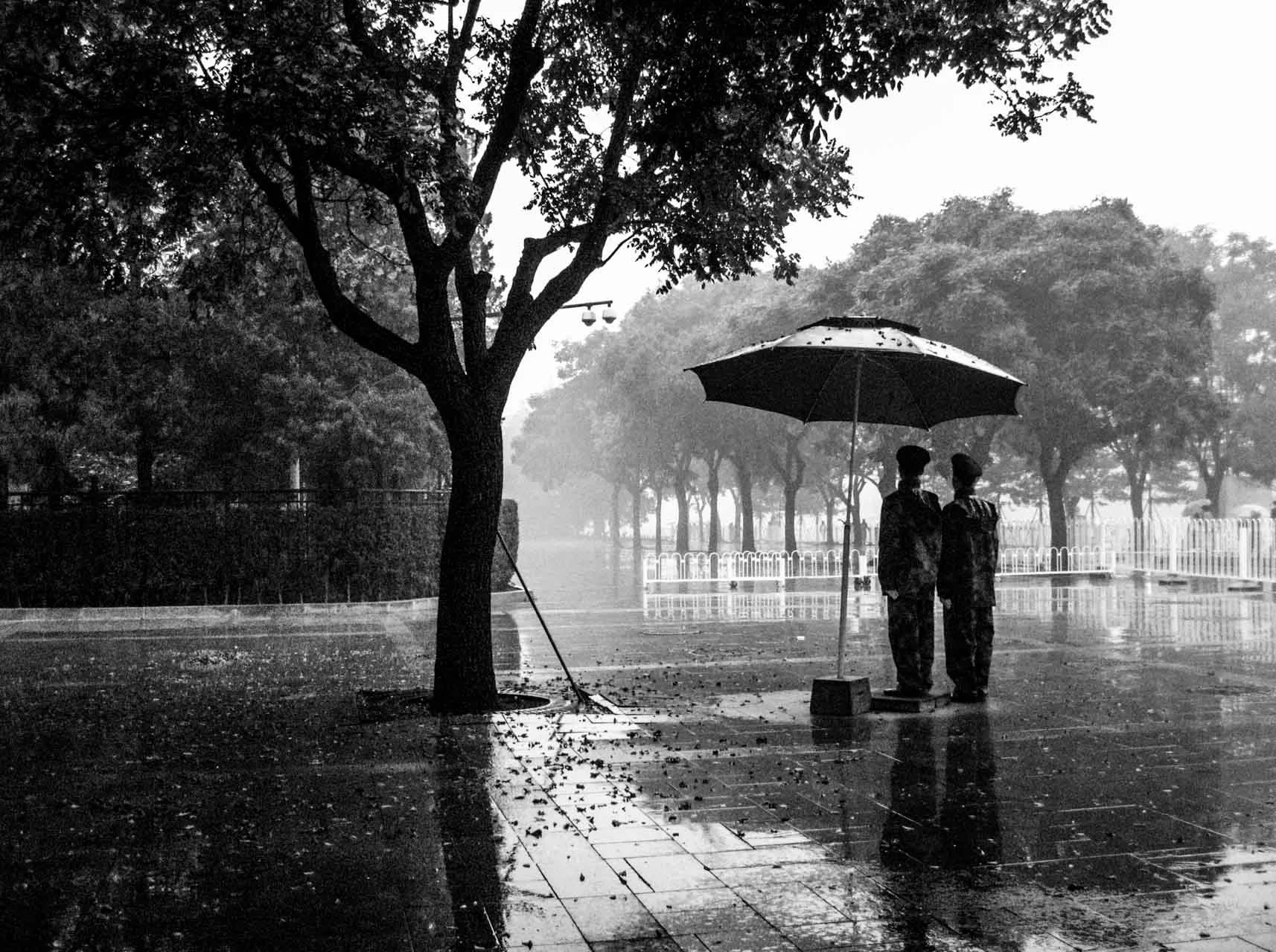 standing_at_attention_in_the_rain_beijing_IMG_3869.jpg