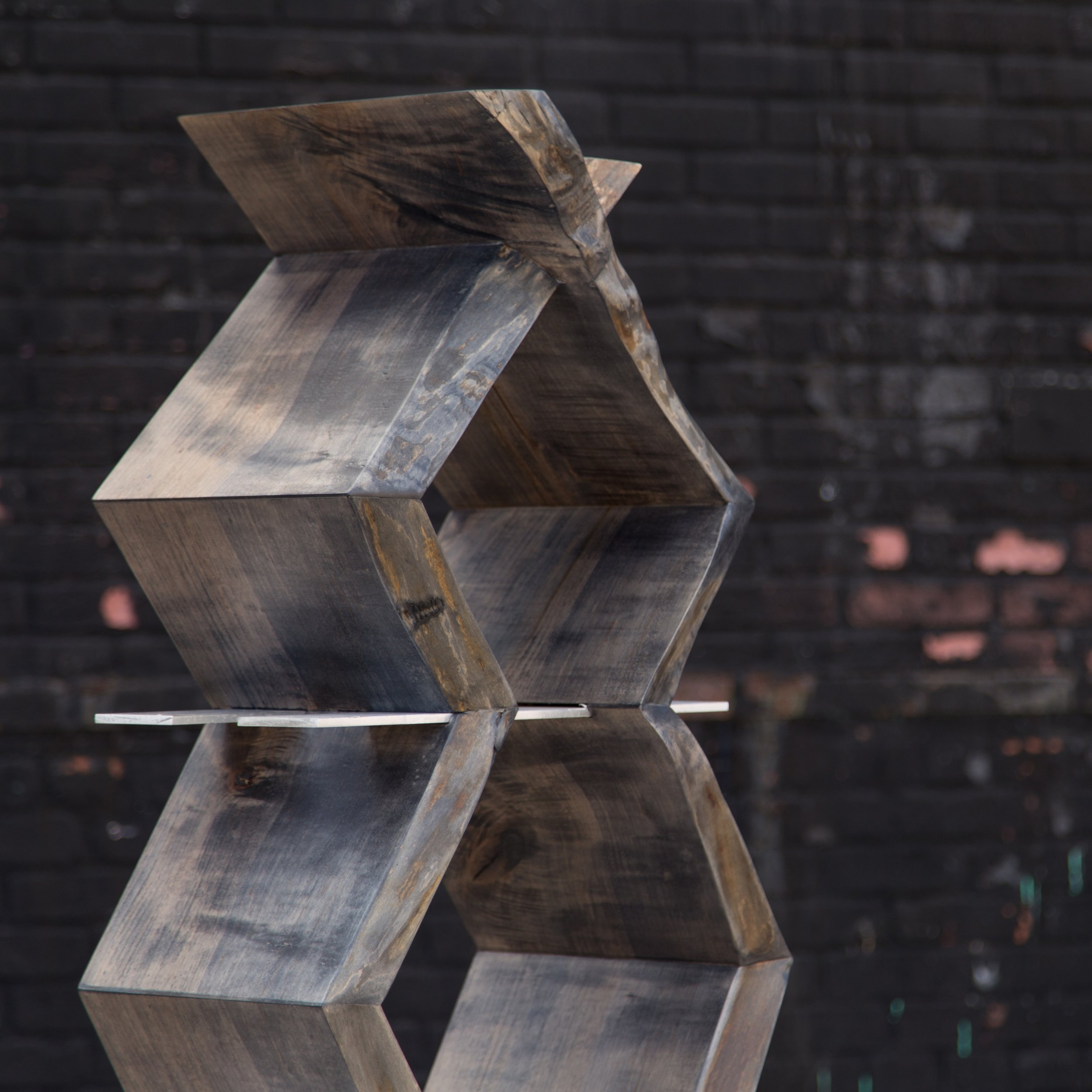 sentient_friends_live_edge_bookcase_concept_51.jpg
