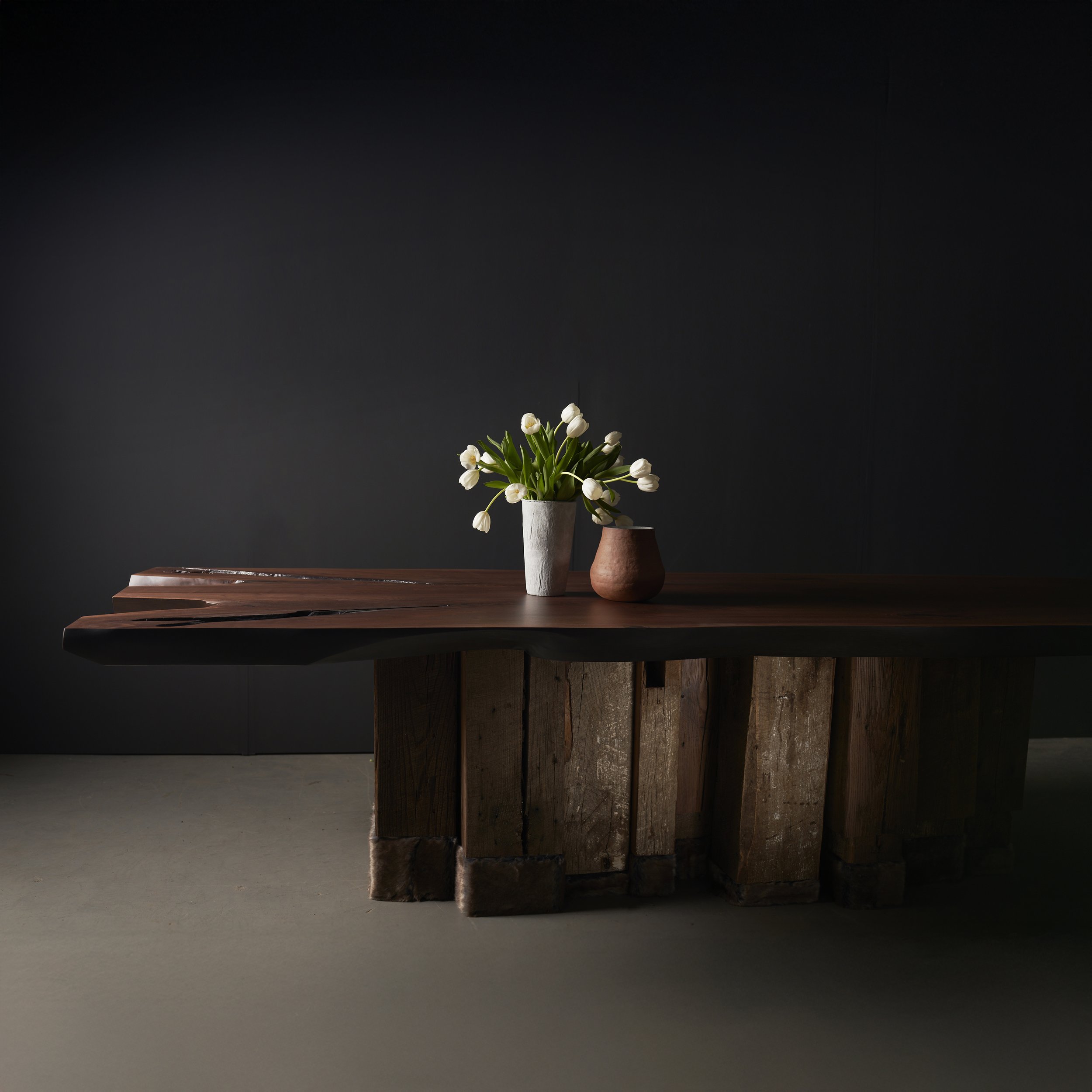 sentient-evolution-table-DSC0114.jpg