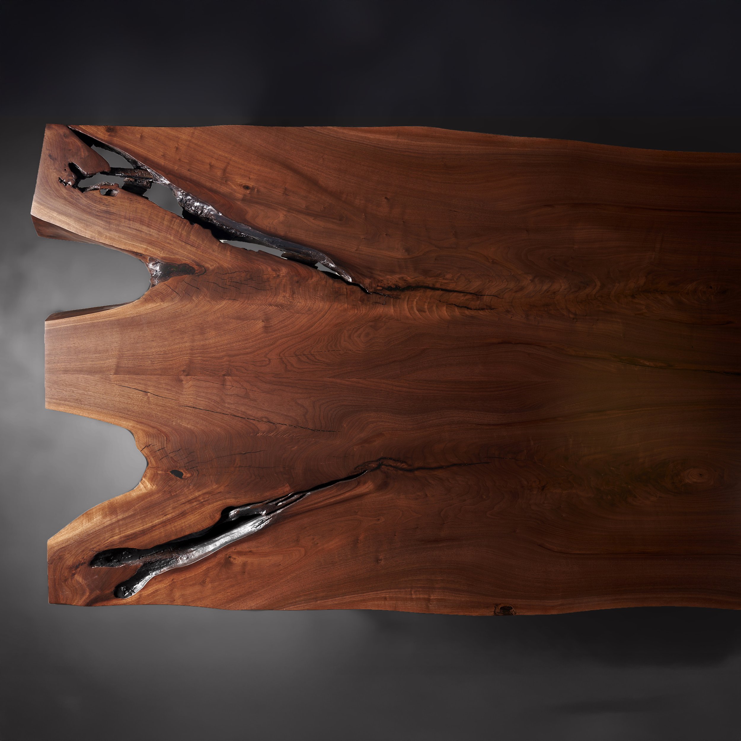 sentient-evolution-table-DSC0264B.jpg
