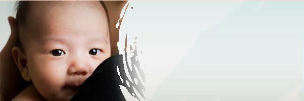 Circle of Security® Parenting™ Series