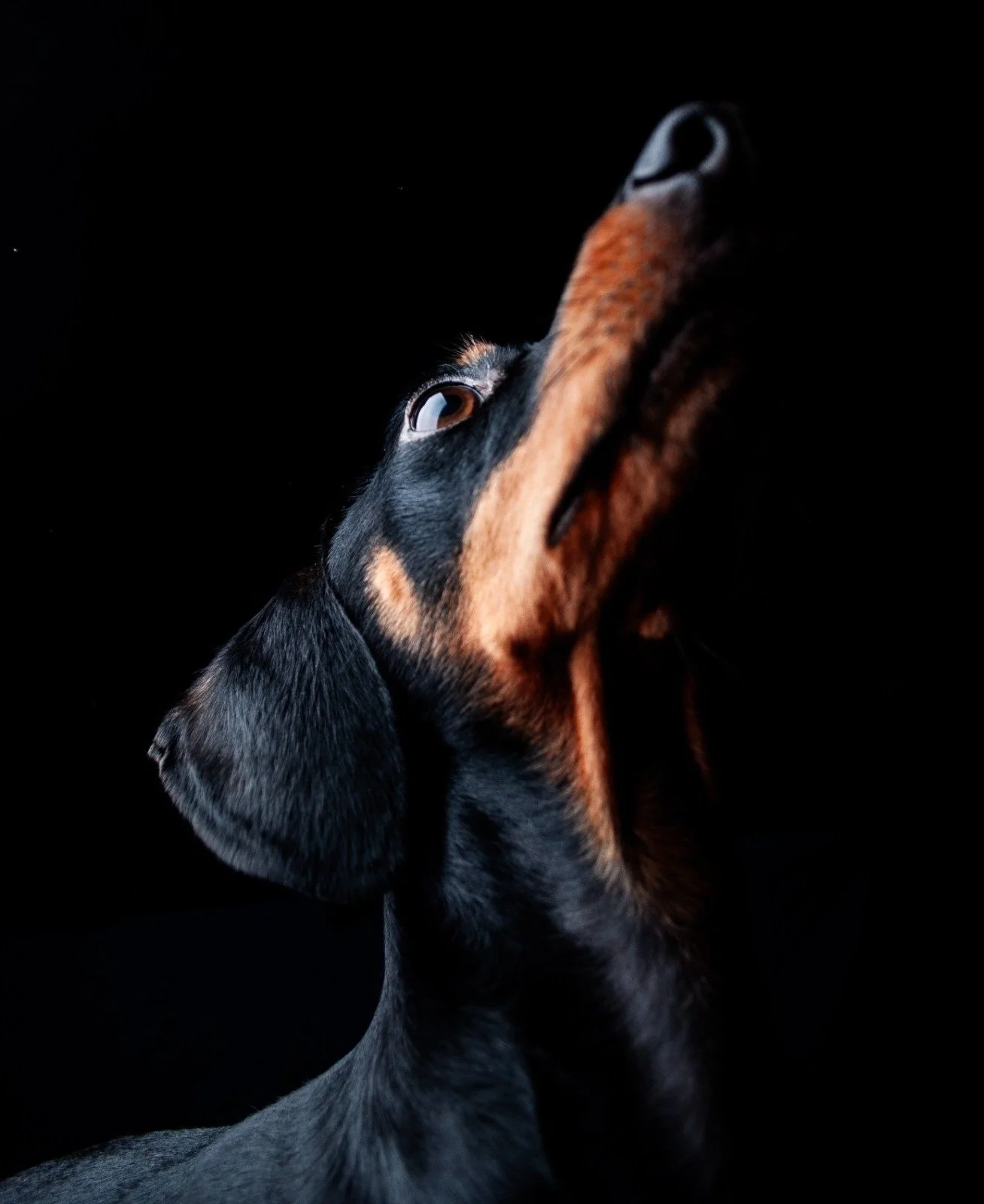 WhatsApp Image 2025-02-07 at 17.12.45.jpg