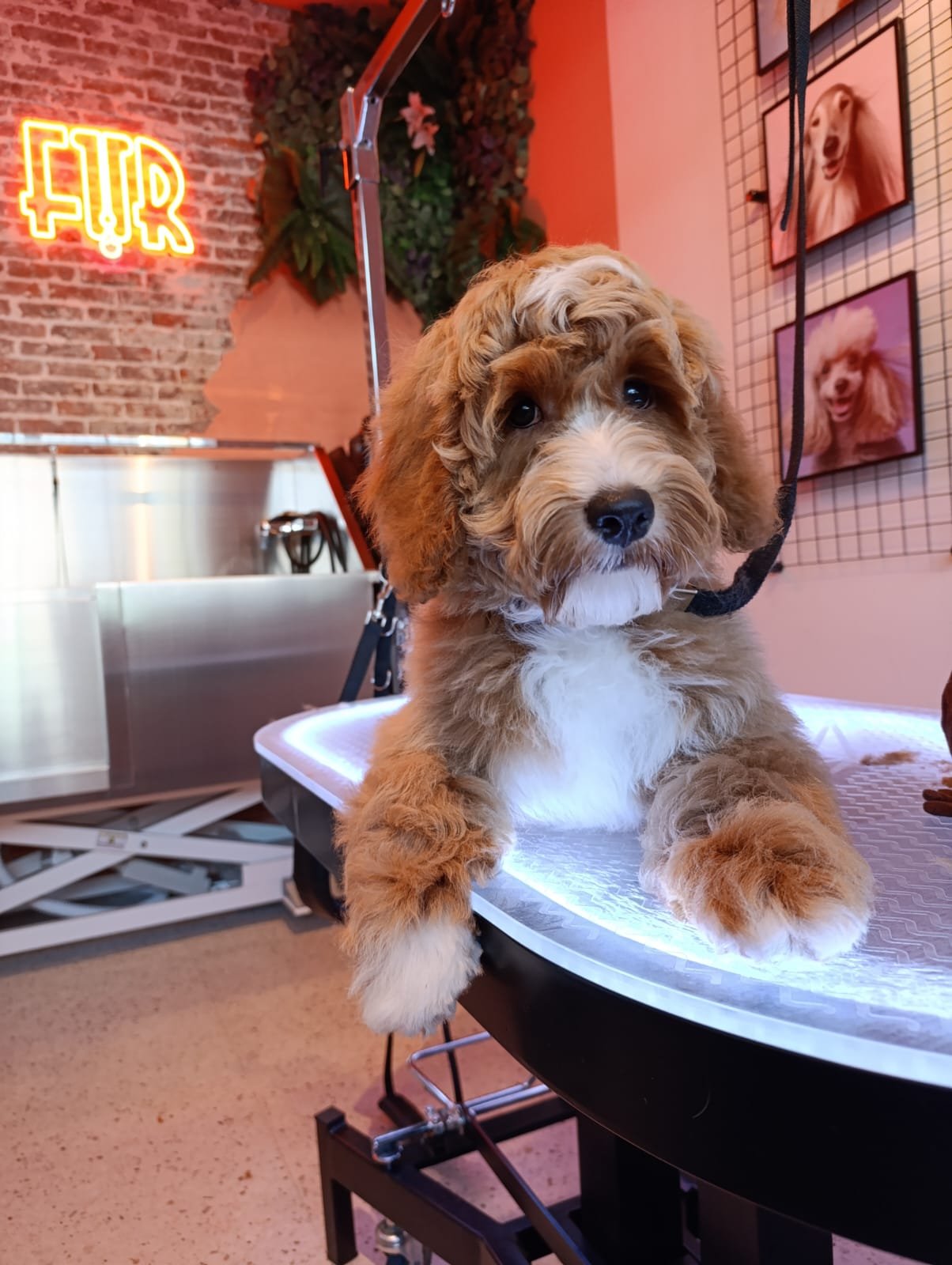 WhatsApp Image 2025-02-07 at 17.05.55.jpeg