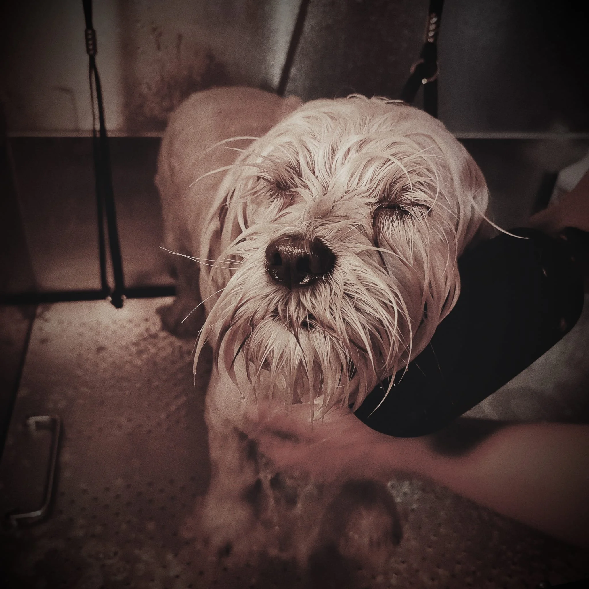 WhatsApp Image 2025-02-07 at 16.11.26.jpeg