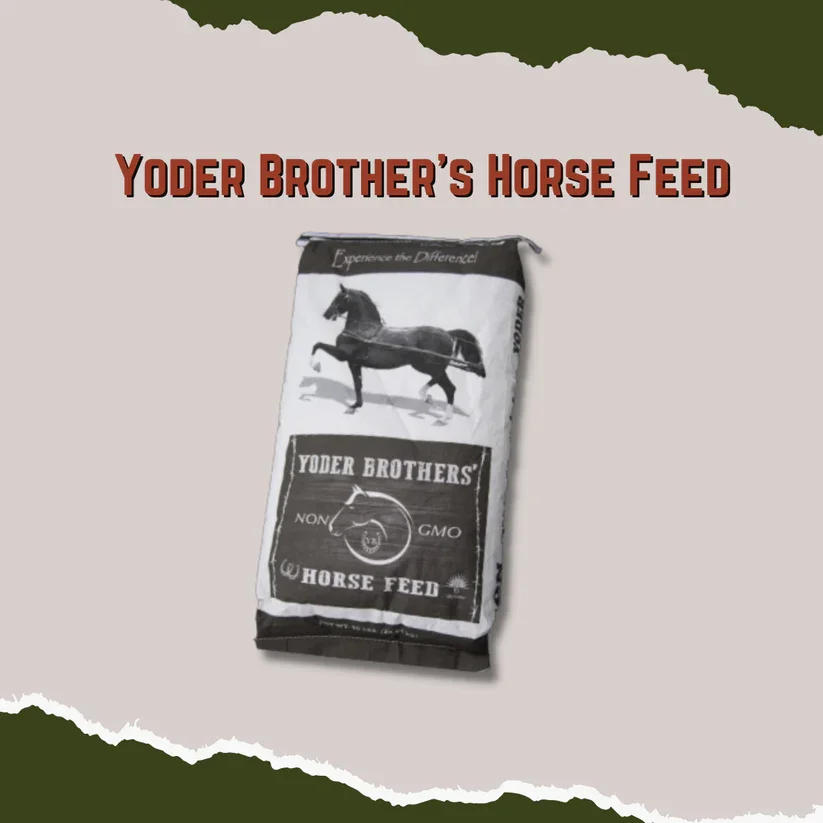ELITE HORSE FEED - A non-GMO 12% textured horse feed with Elite minerals built in—made for daily, working, show, and sale-prep horses.
