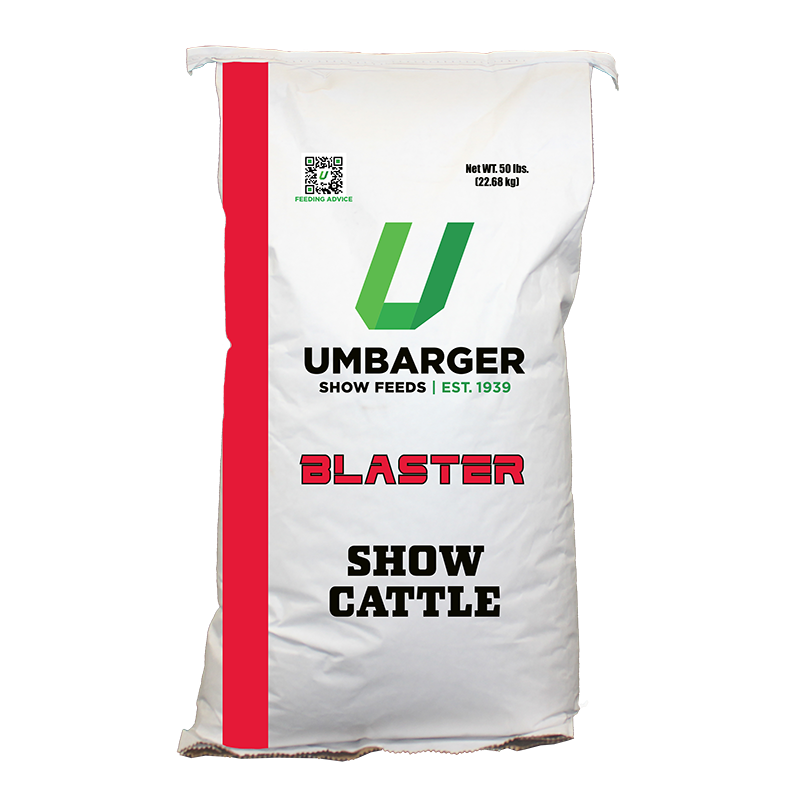 High-corn finisher ration built to pack pounds and add condition—designed for market cattle only.