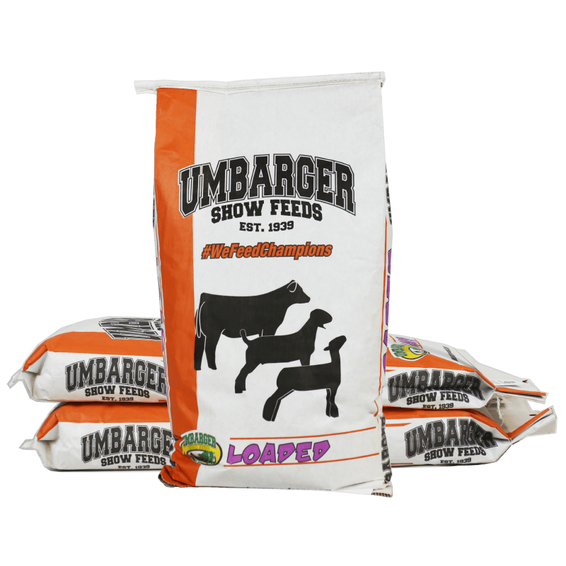 Texturized high-energy fat supplement designed to add bloom and fat cover for a smoother, more finished look.