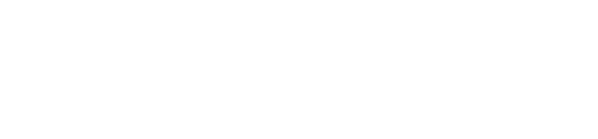 Splizer Invest, LLC.