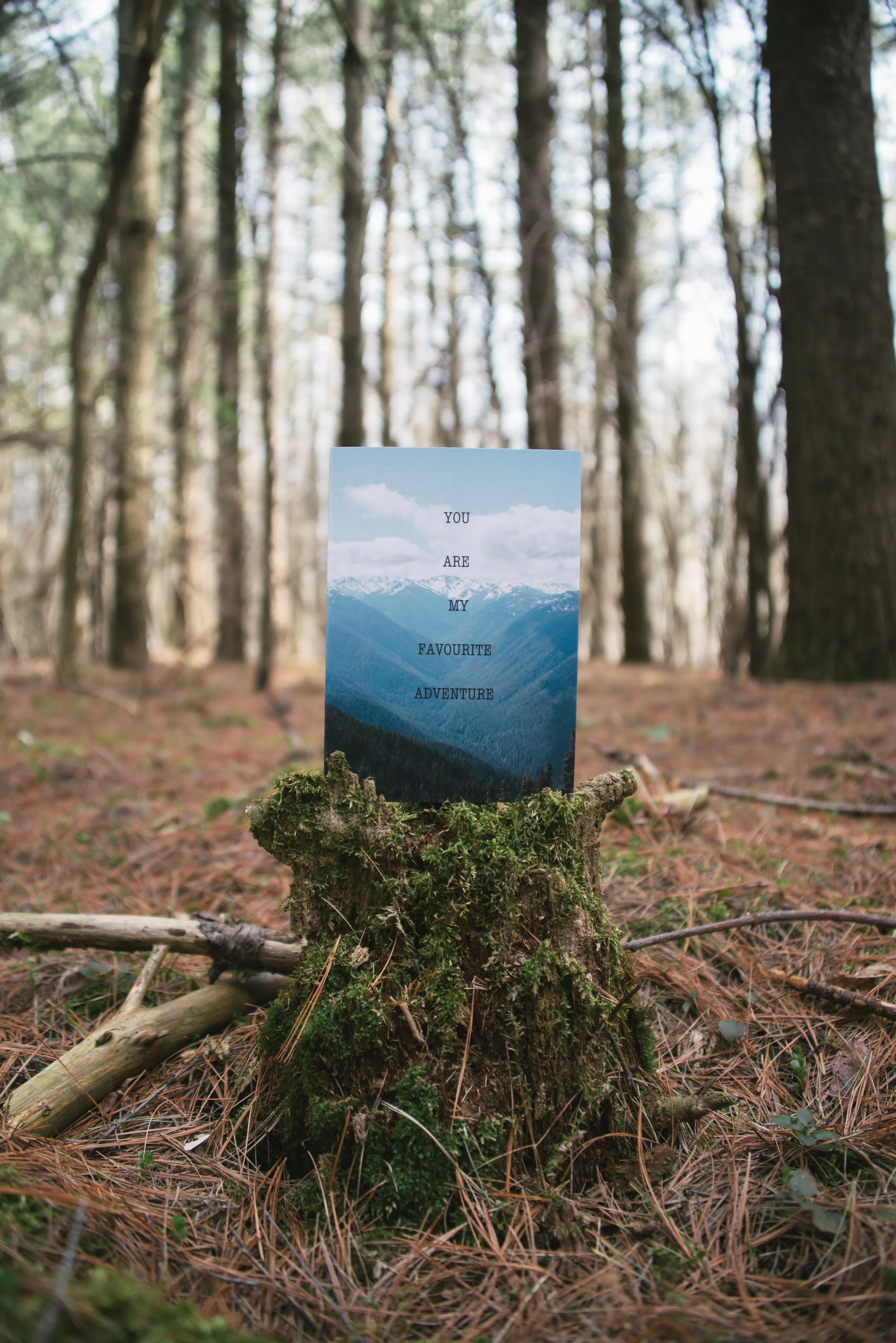 "You Are My Favourite Adventure" Greeting Card - Free Shipping