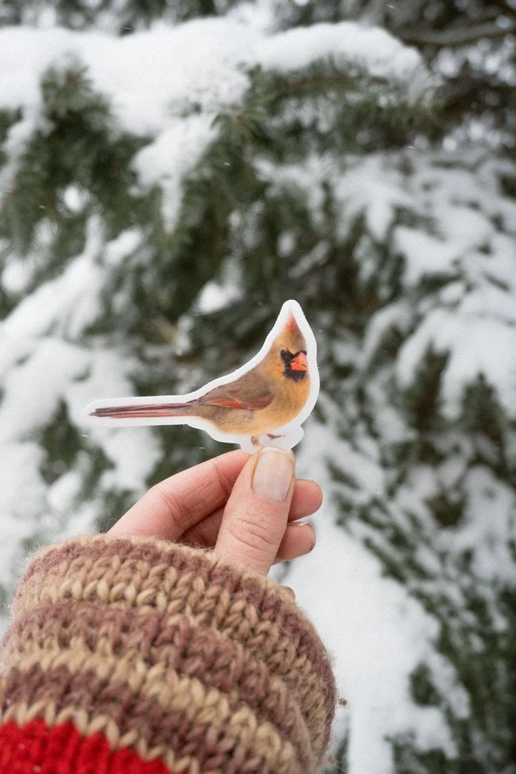 Female Cardinal Sticker