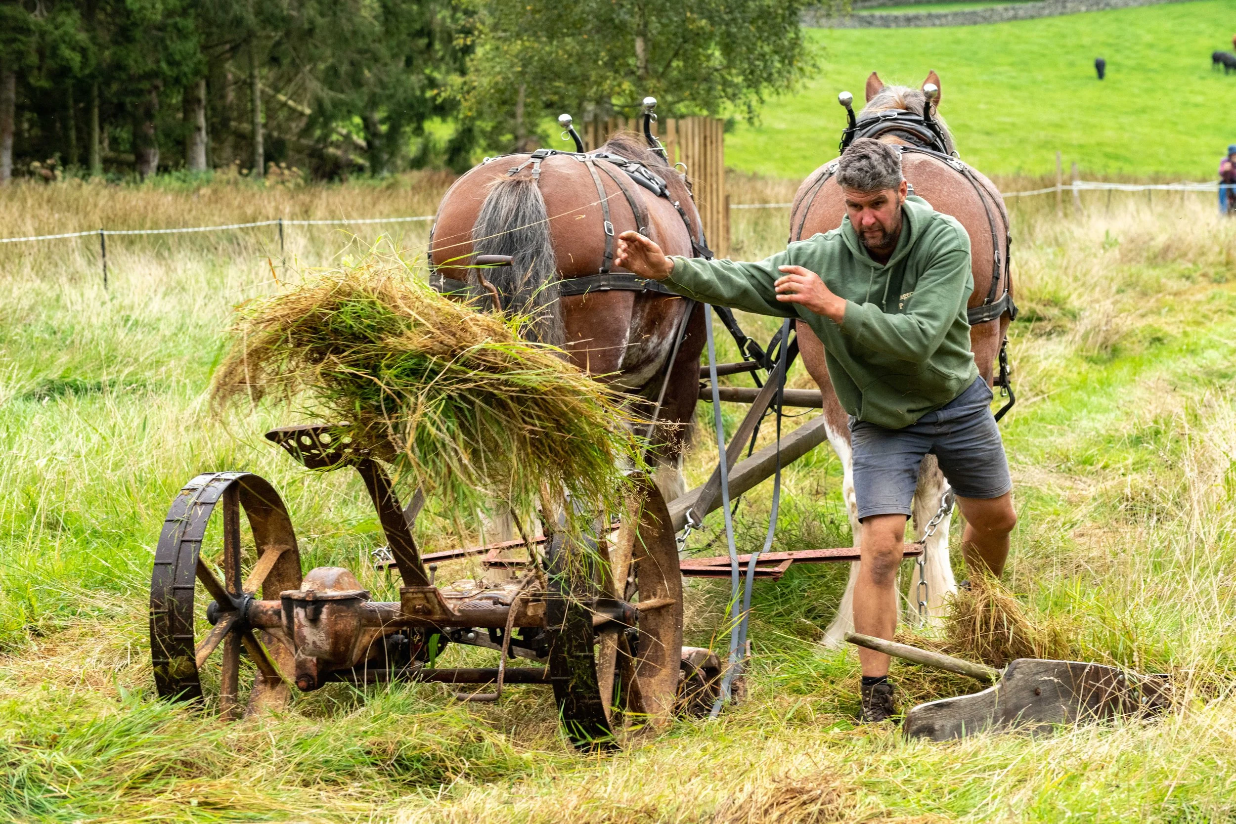 Mowing & haymaking