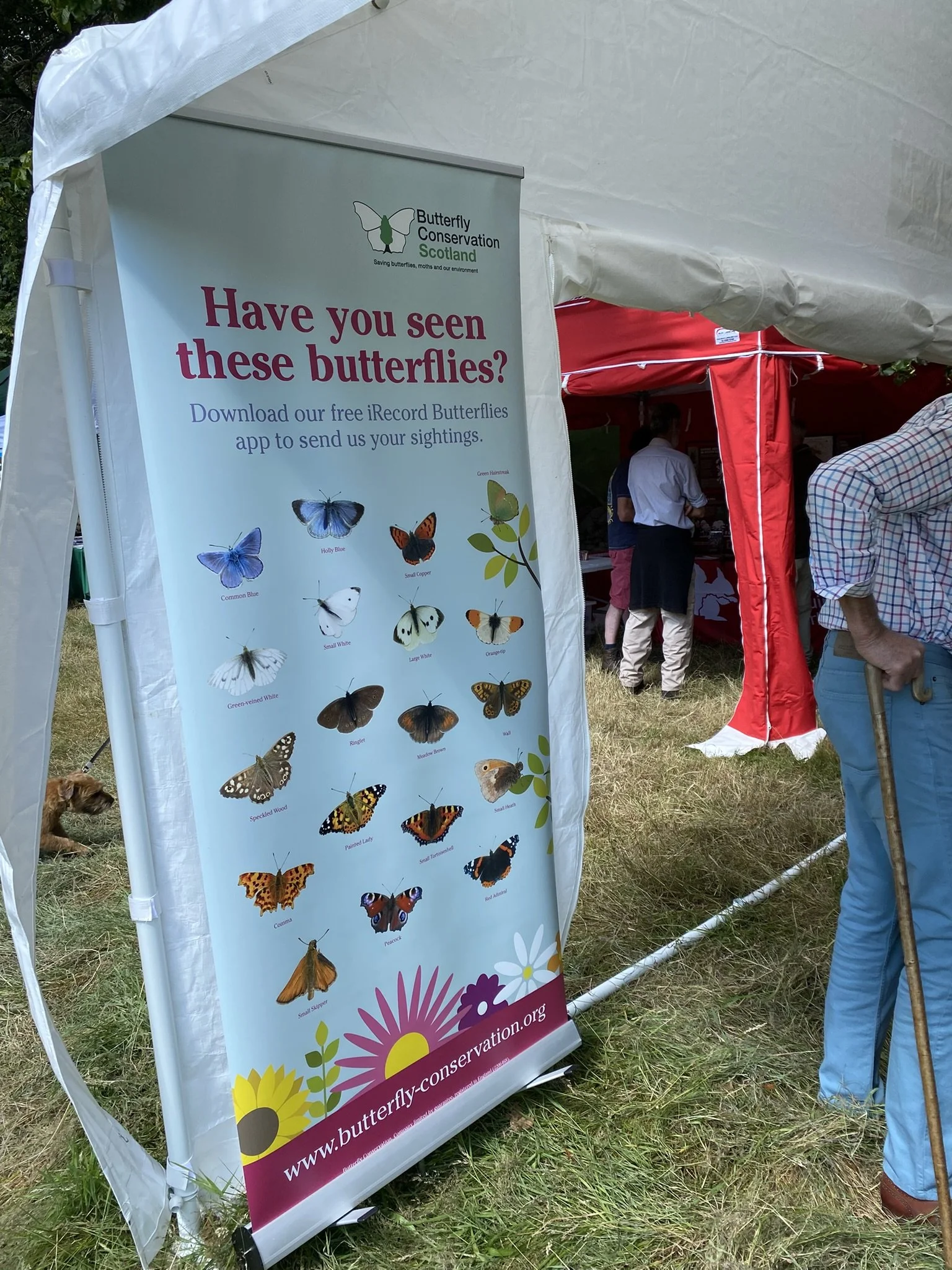 ButterflyConservation.JPEG