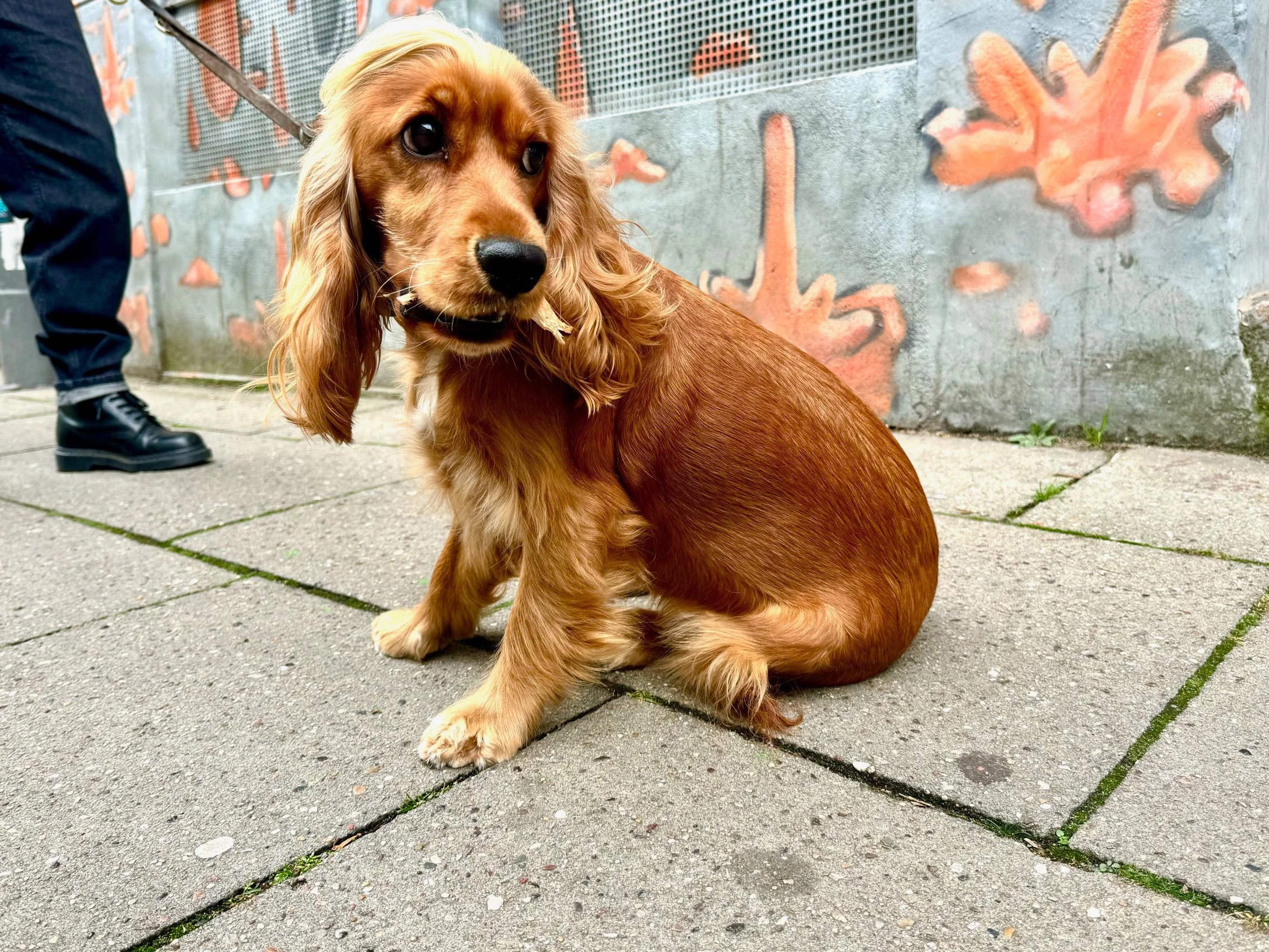 Sebastian Merget-13.jpg