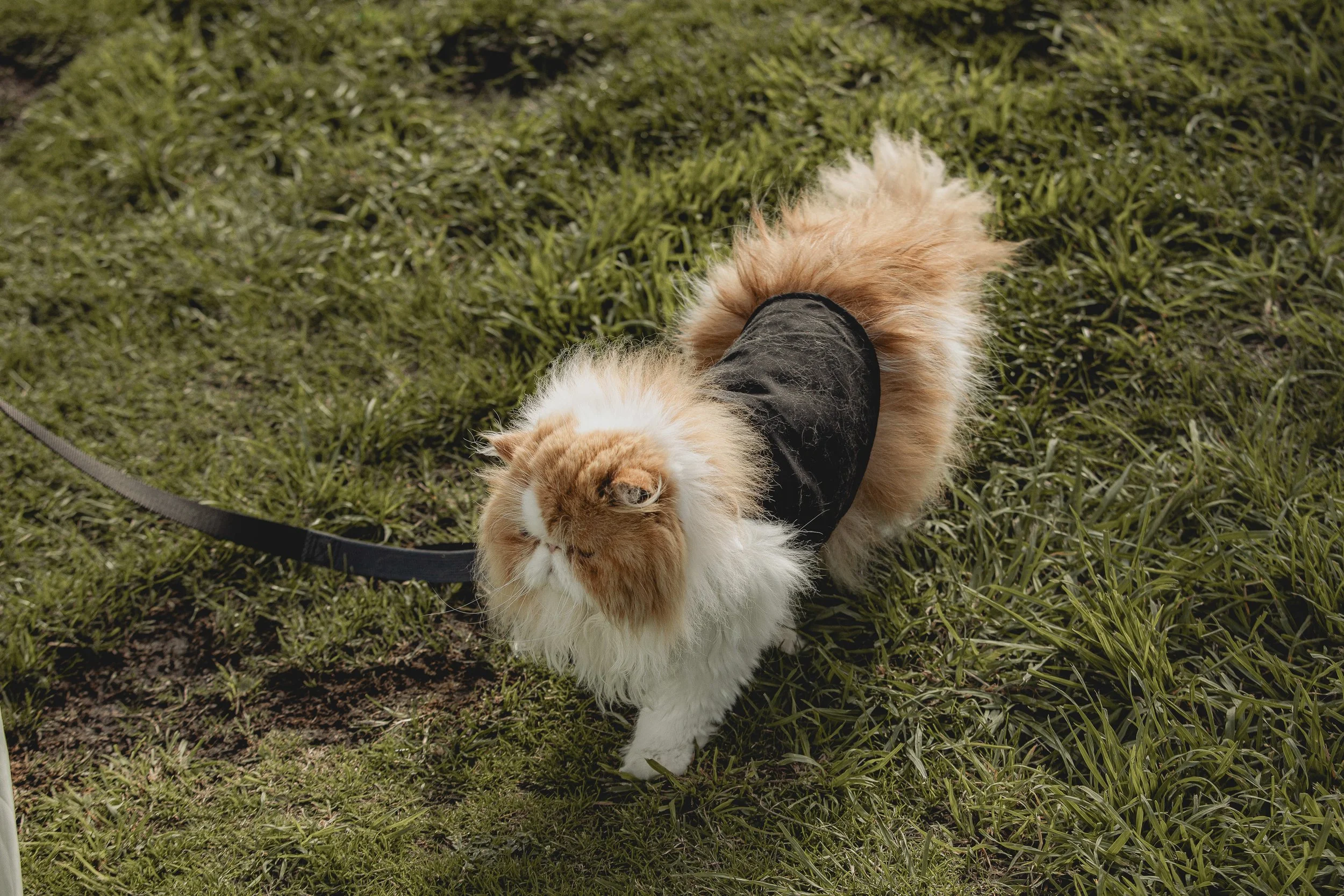 YP Xuan & David Highlights-070.jpg