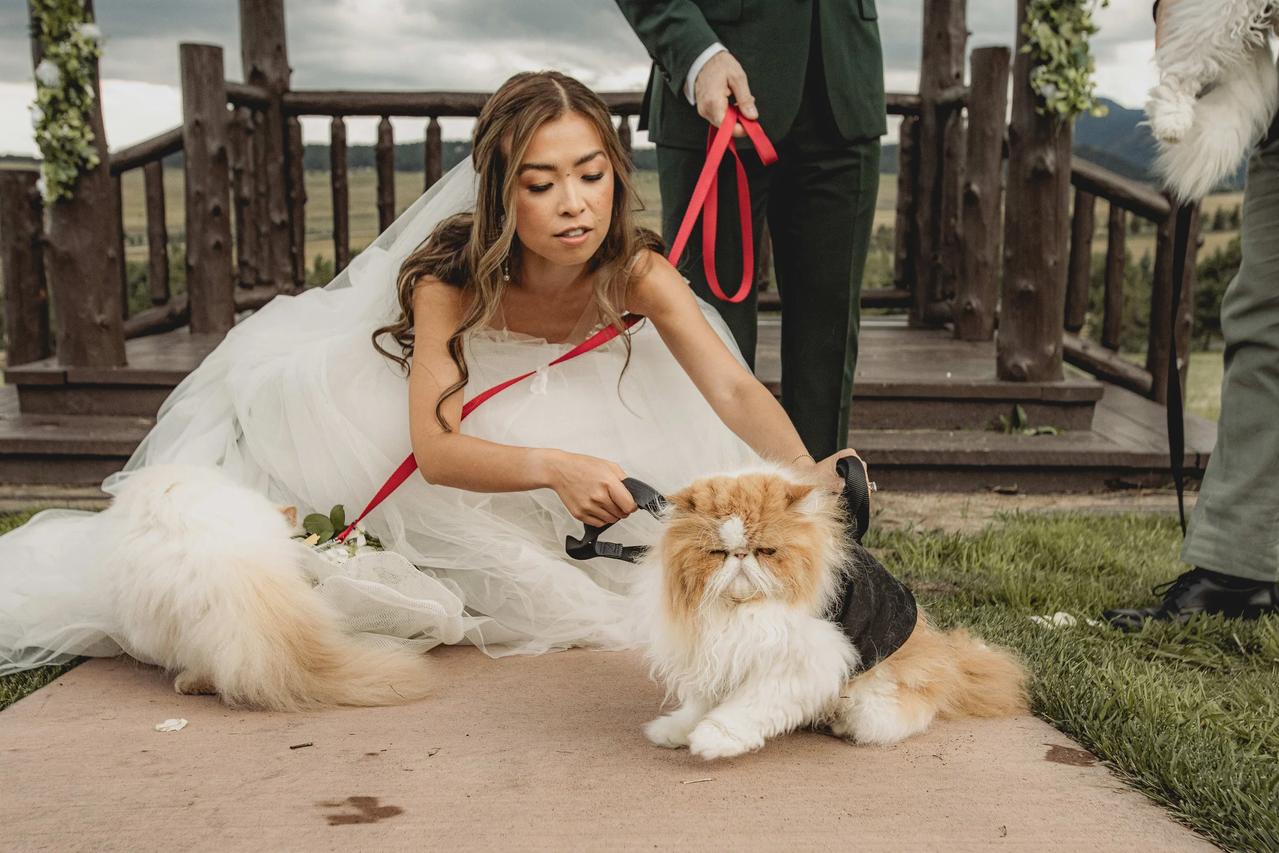 YP Xuan & David Highlights-108.jpg