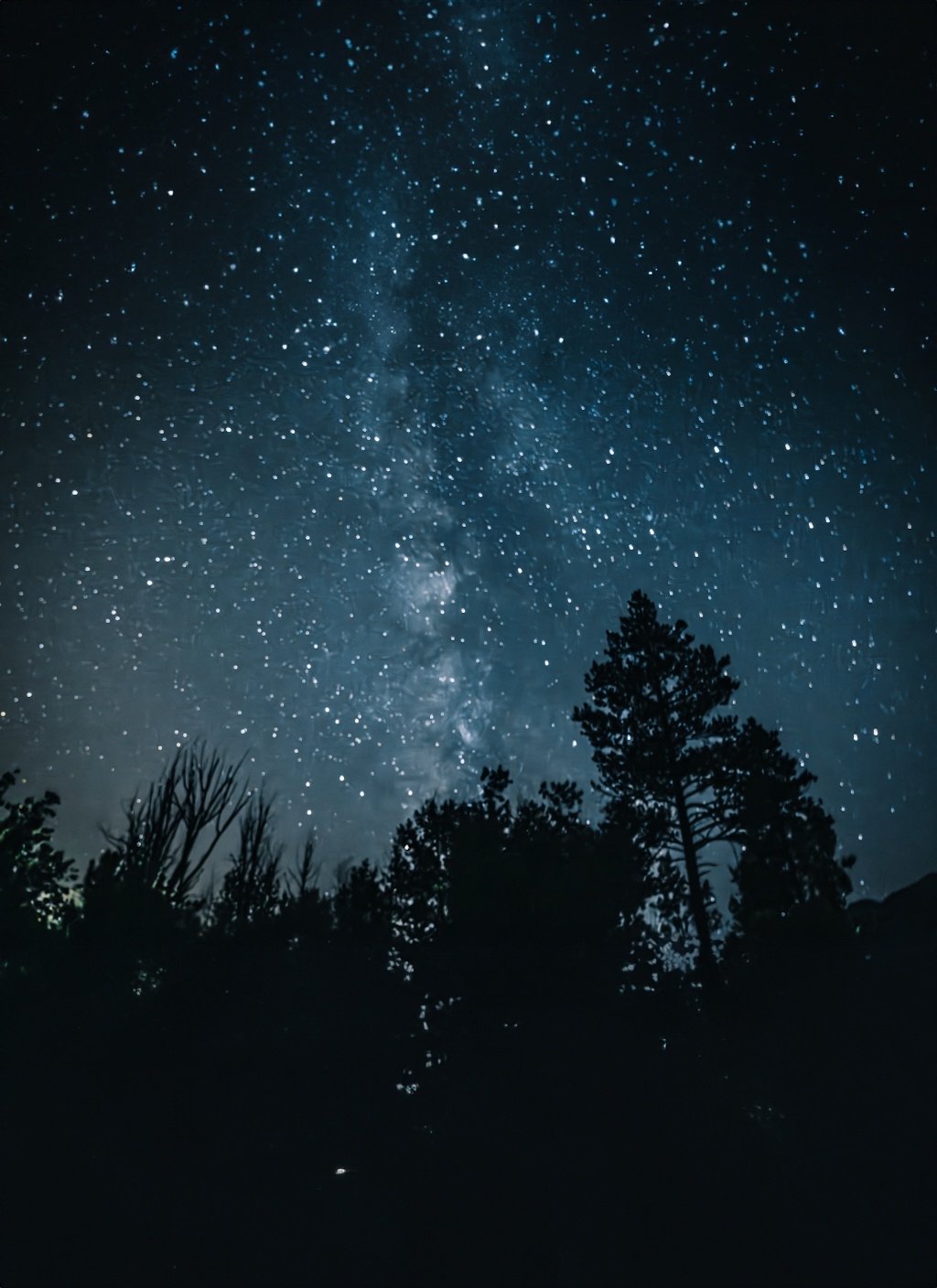 B22FBCE1-FE11-4AD9-AAB0-B0FE23045A74.jpeg