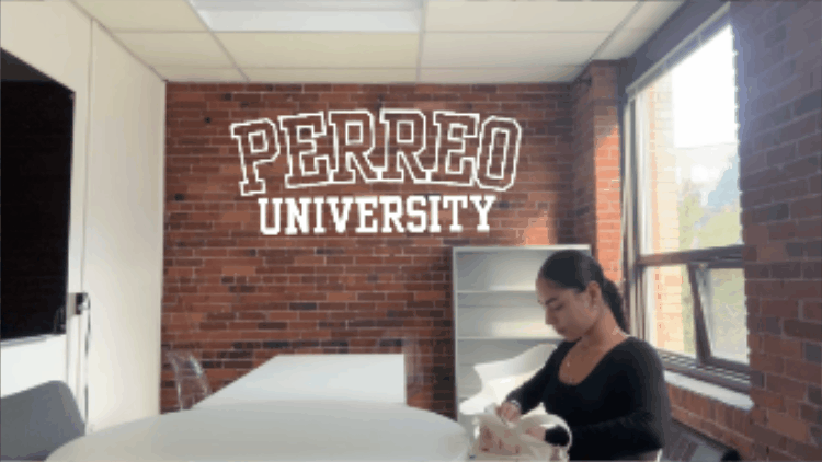perreouniversity-reggaeton con la gata - perreo 101.gif