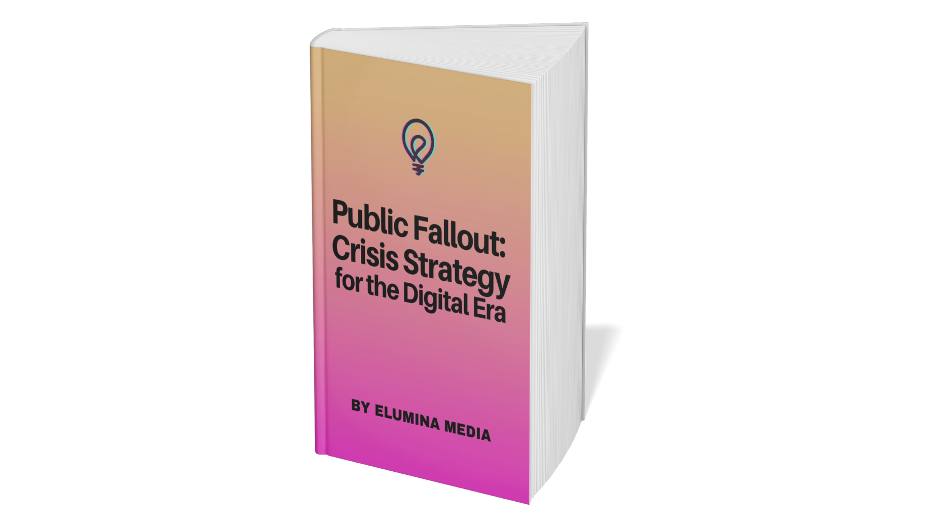 Public Fallout:  Crisis Strategy for the Digital Era
