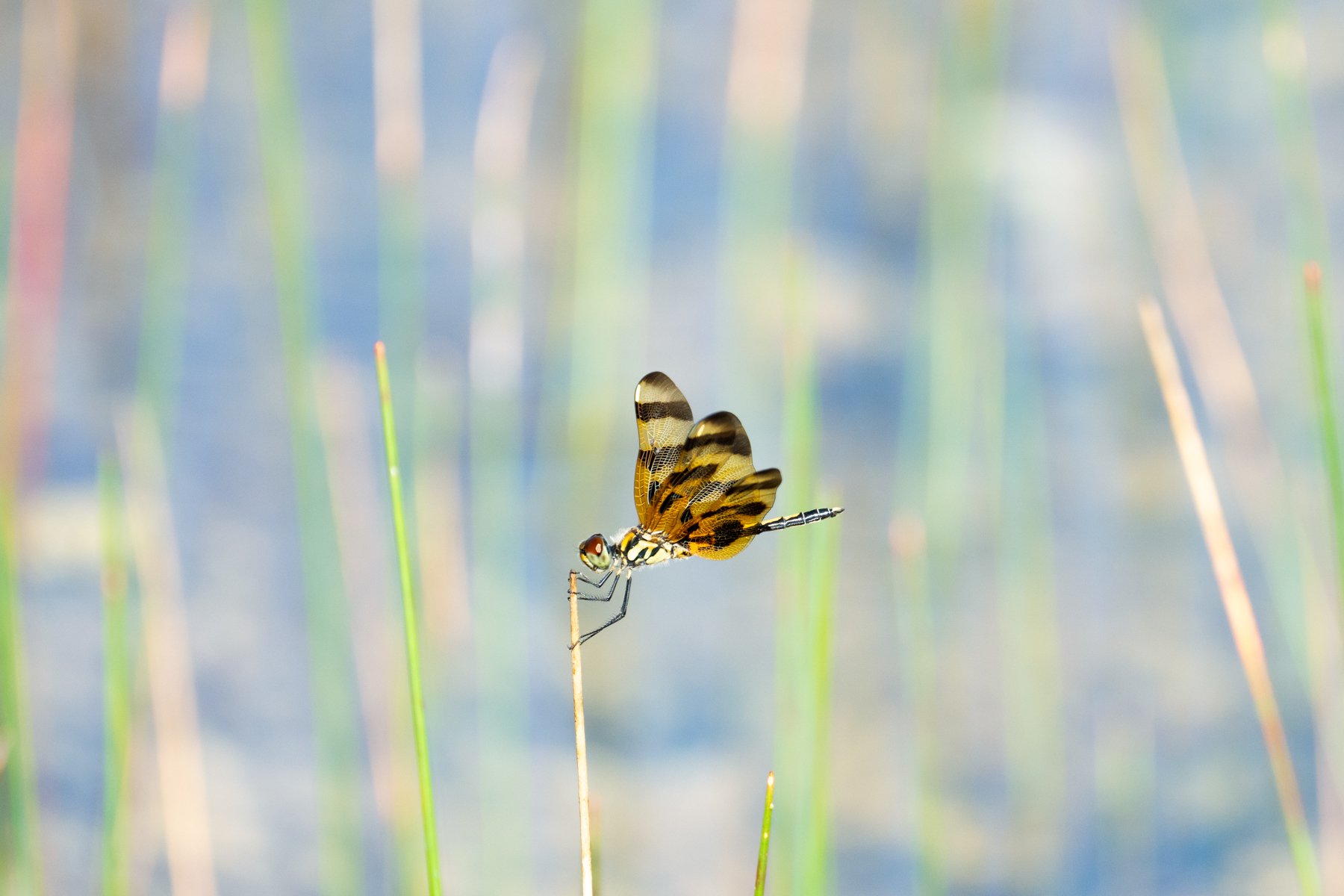 Portfolio Photos-12.jpg