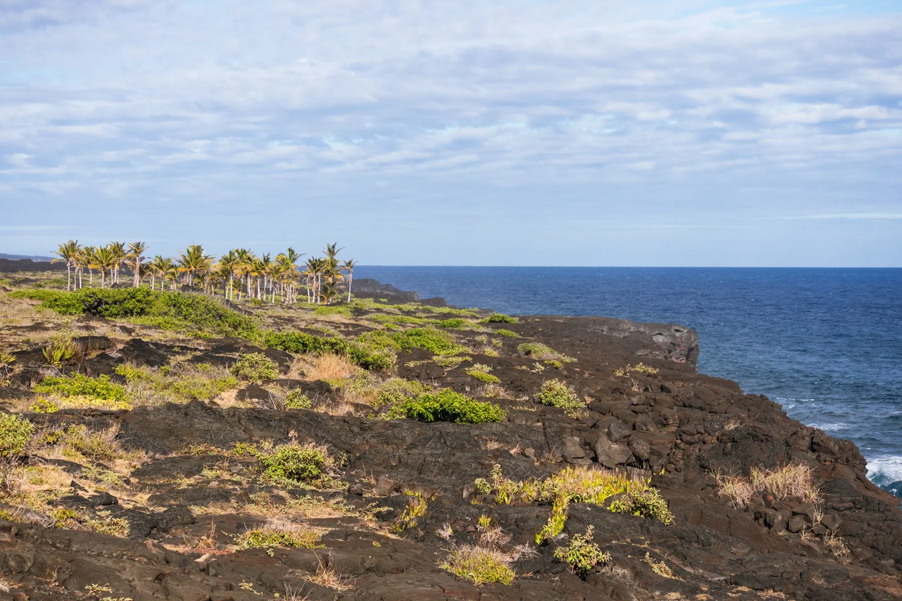 The Island of Hawai'i