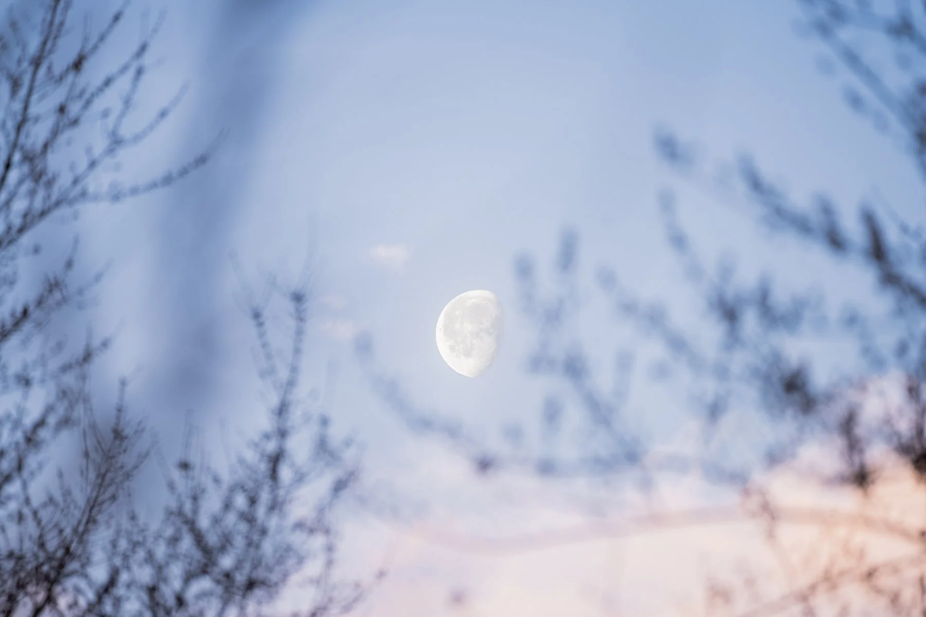A waning half moon at sunrise