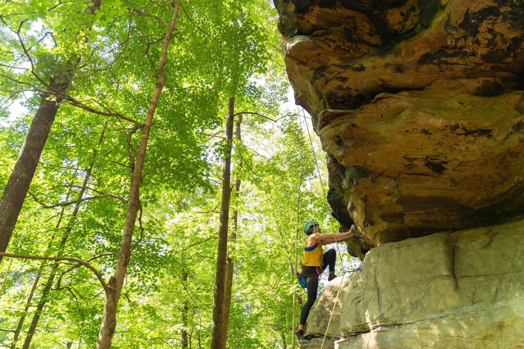 Woman climbing on a summer day at the Red River Gorge