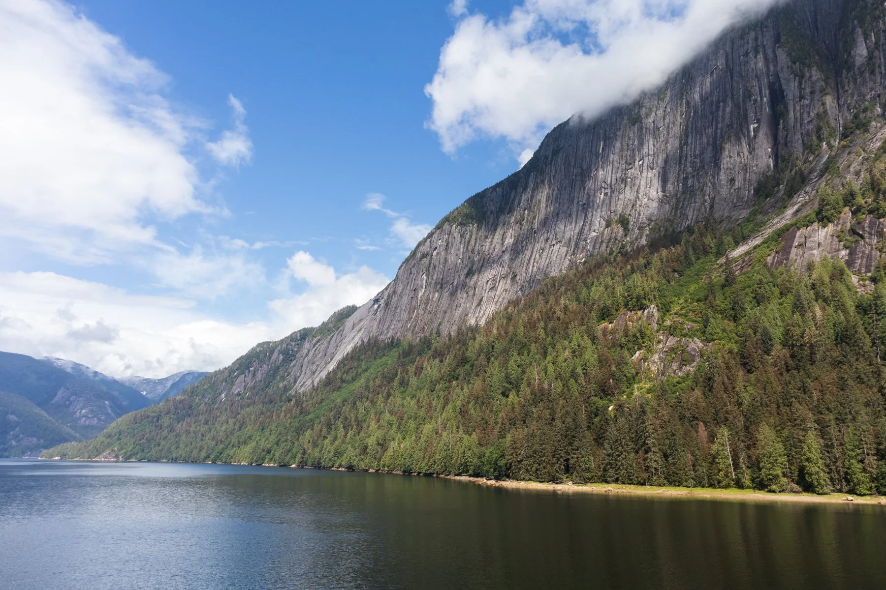 A landscape shot of steep cliffs and forest at a bay in Alaska