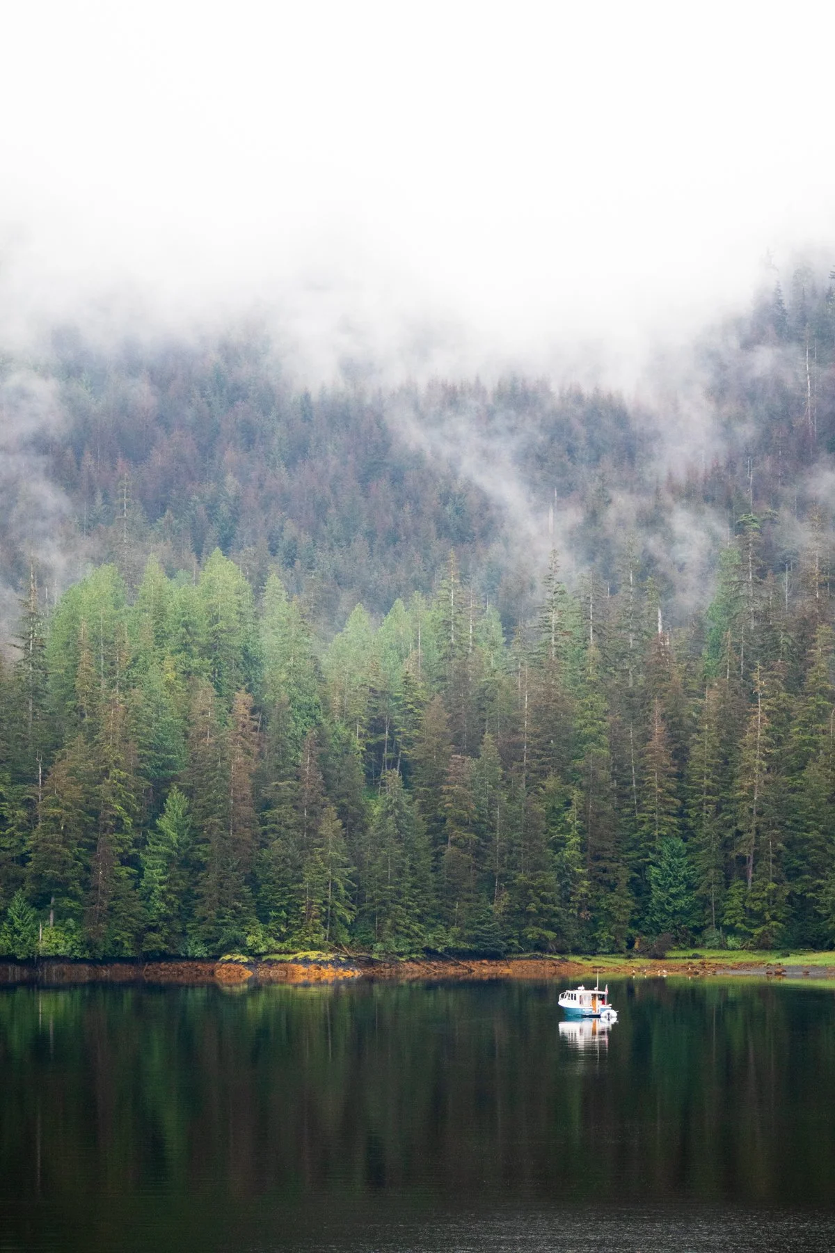 A small white fishing boat anchored in a foggy bay in Alaska