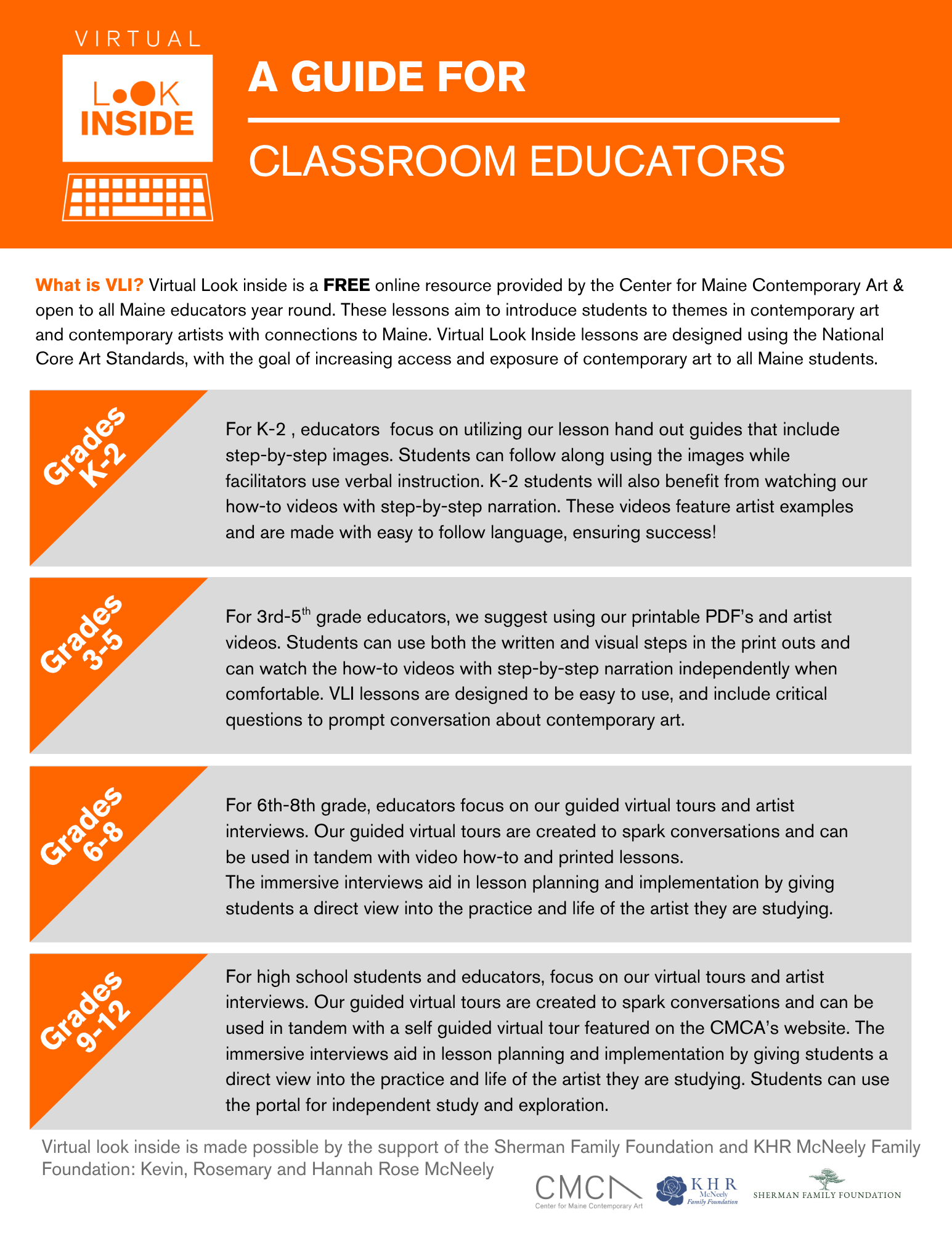VLI _ClassroomGuide.png