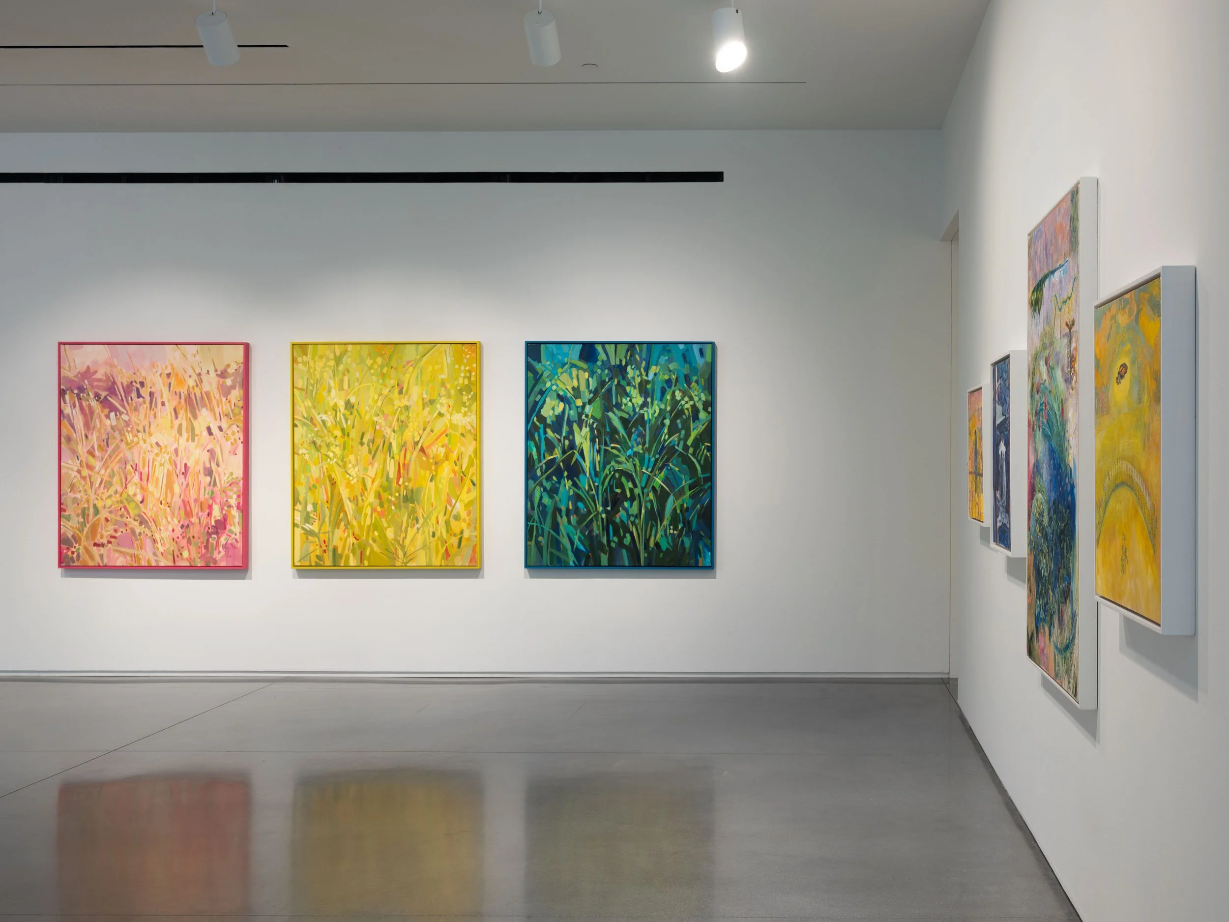 19_CMCA_2025_Biennial_Install.jpg