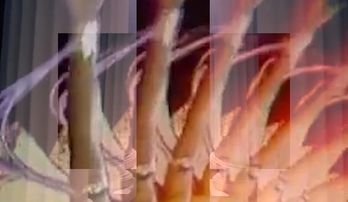 1st channel 15.00_03_30_22.Still018.jpg