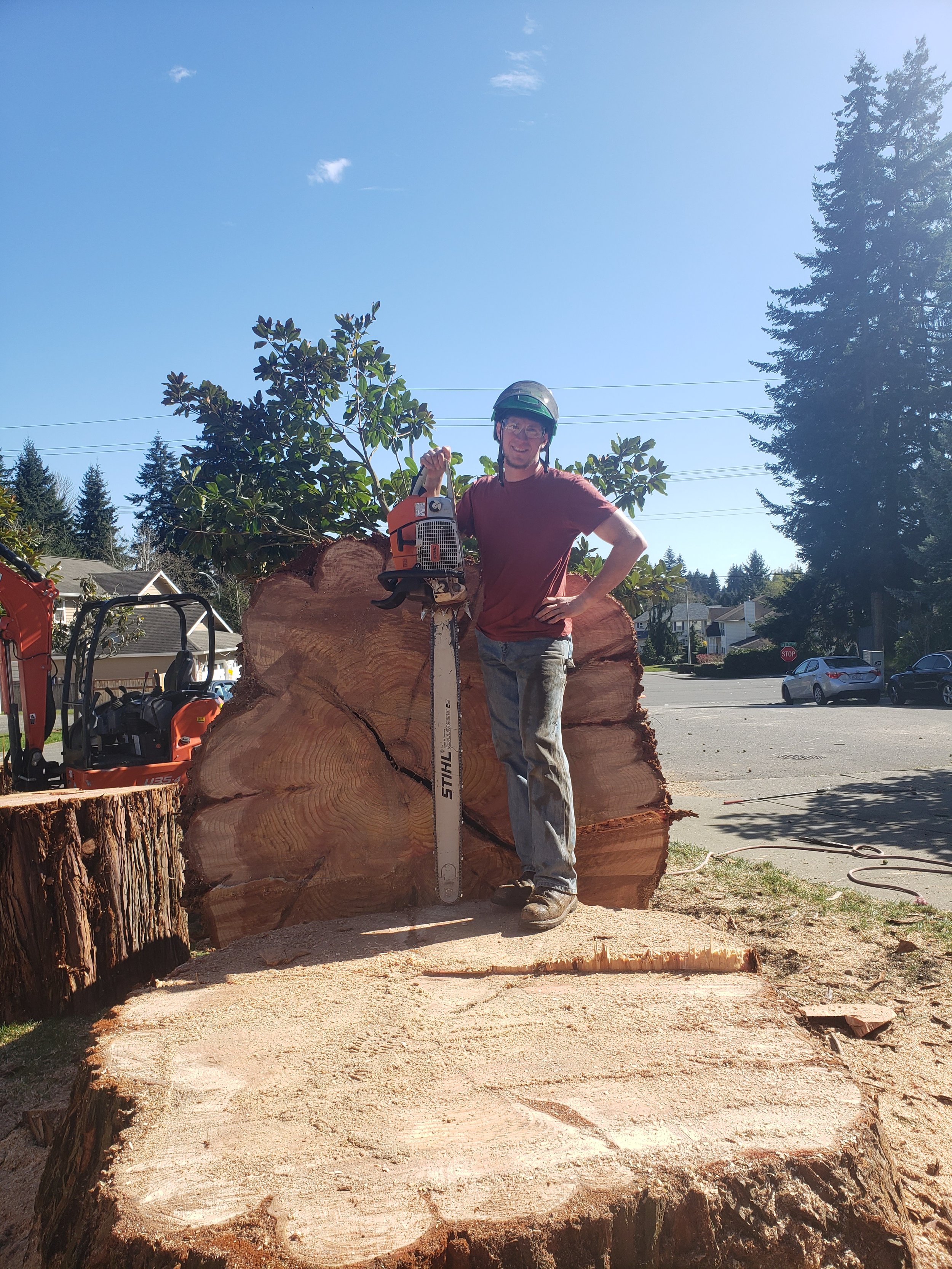 Person standing on a large tree stump holding a chainsaw, wearing a helmet and sunglasses, with trees and a house in the background.