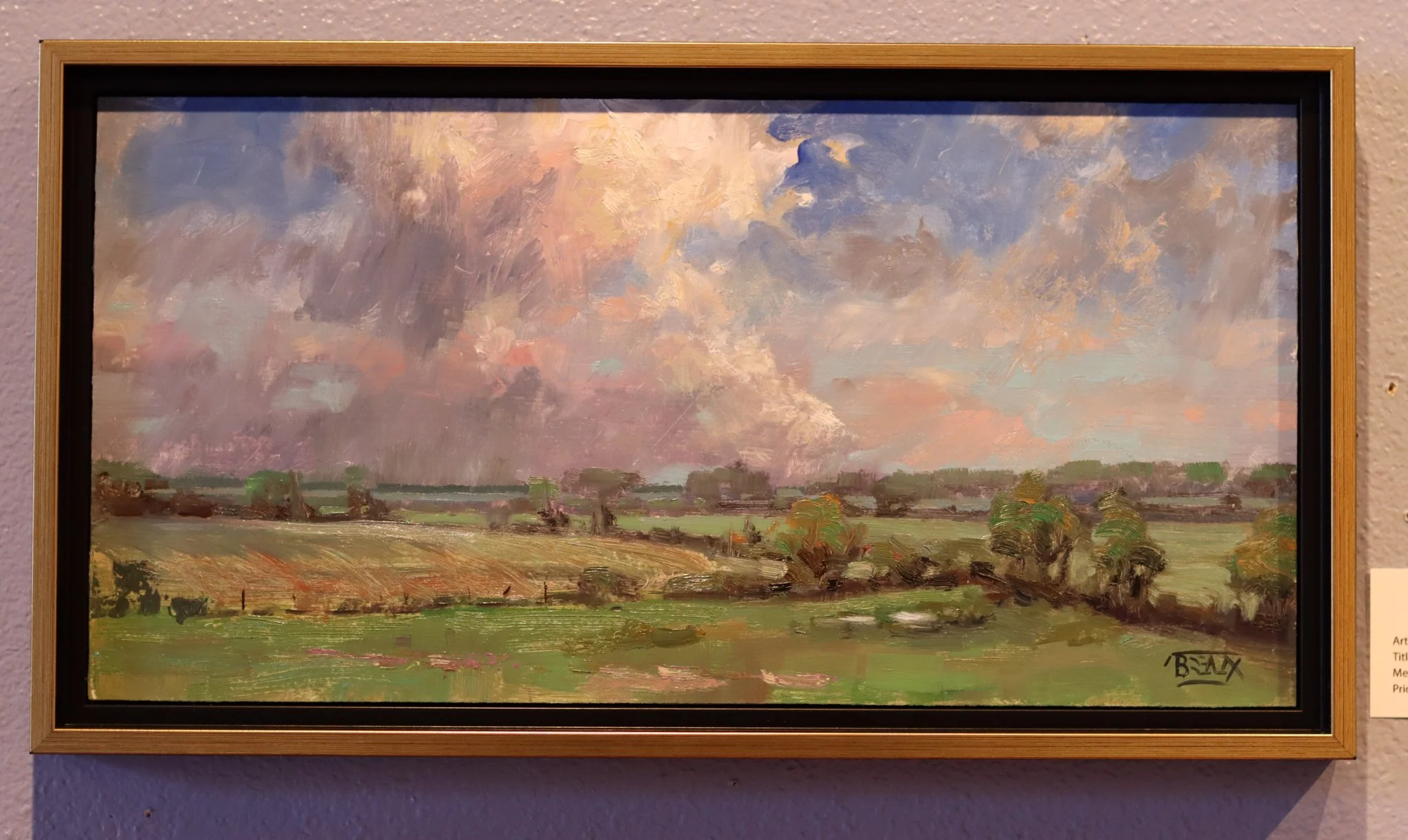 Tim Breaux "Selmore August Vista"