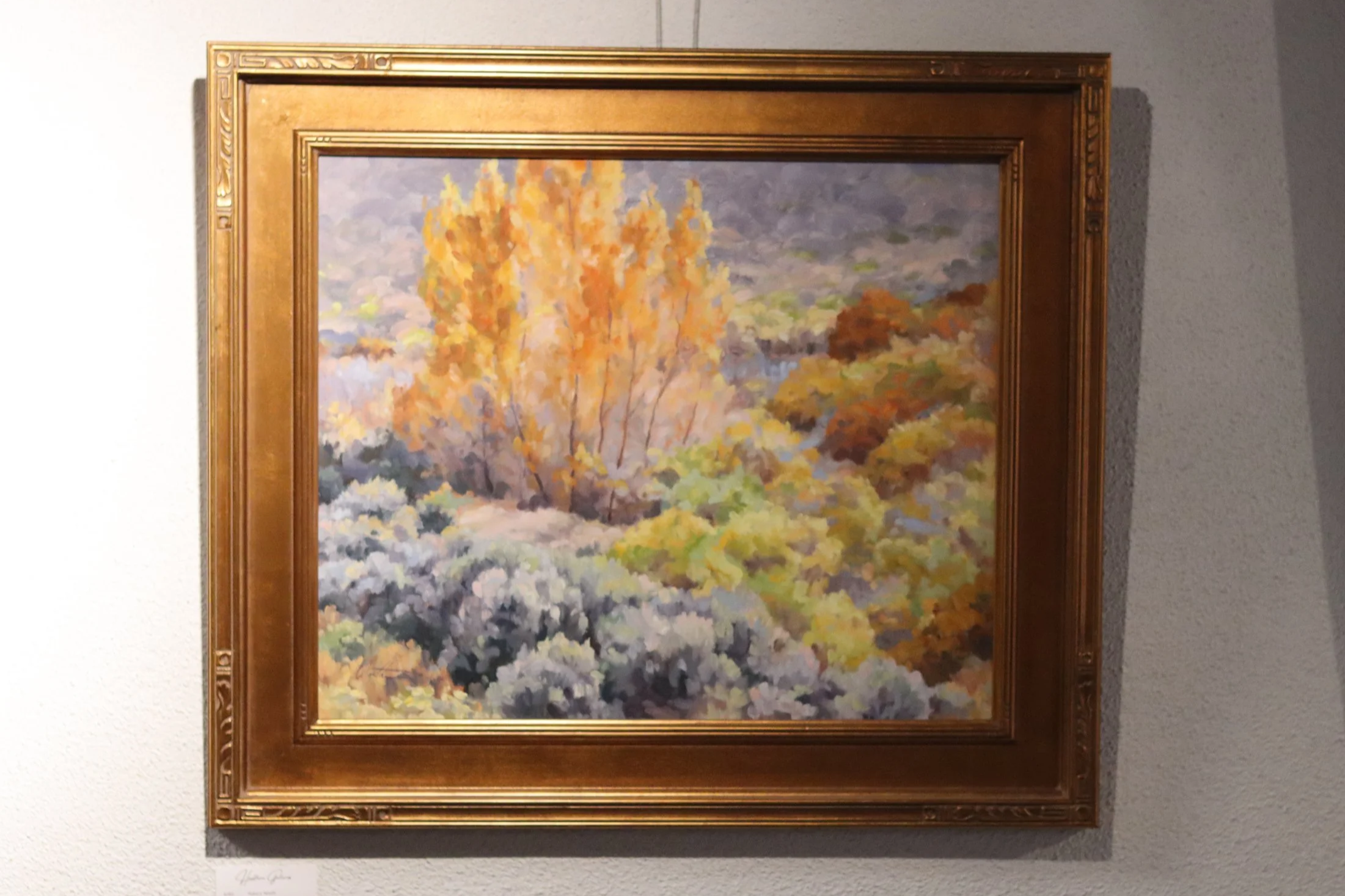 Nancy Worth "Color Fall"