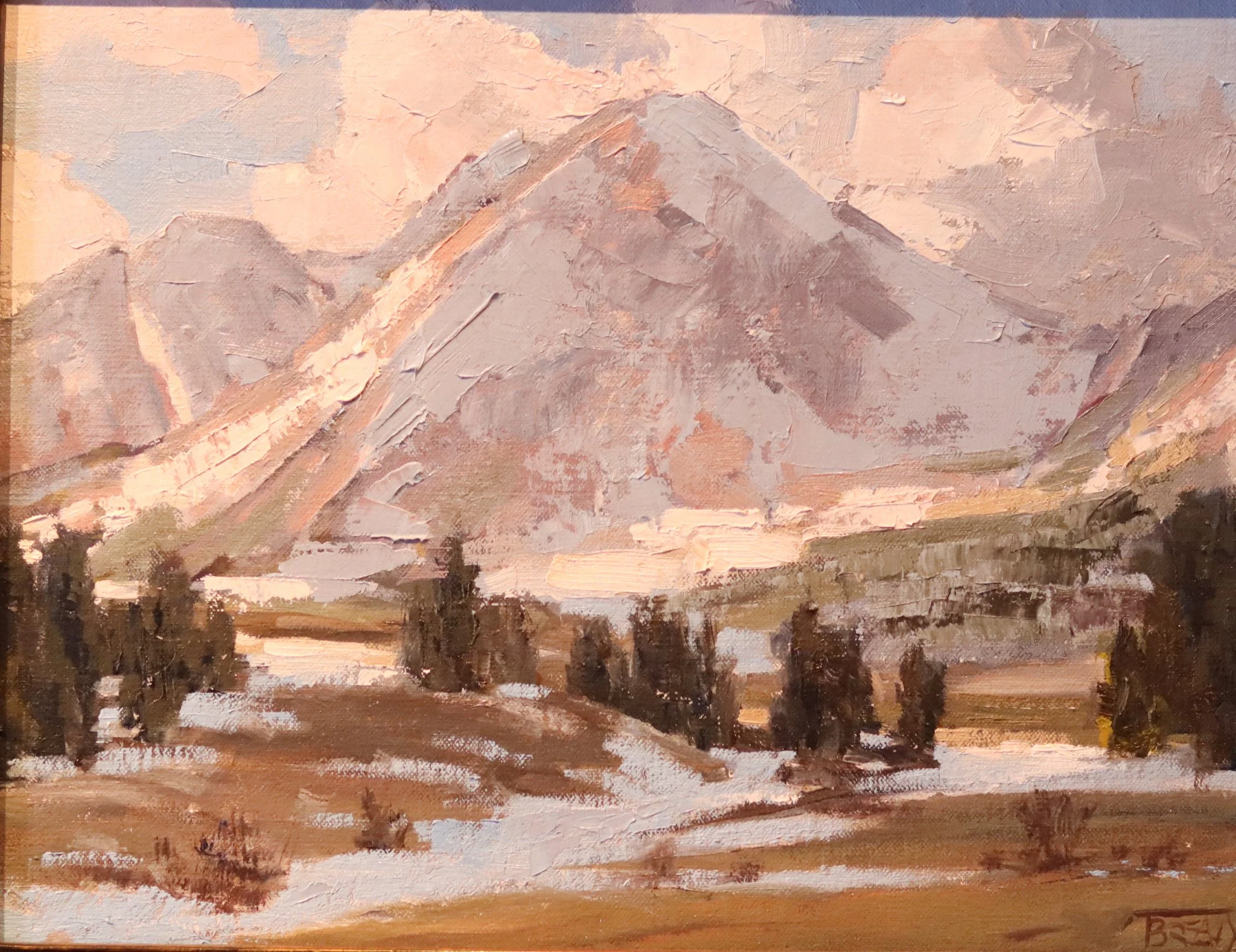 Tim Breaux "Morvay Meadow"