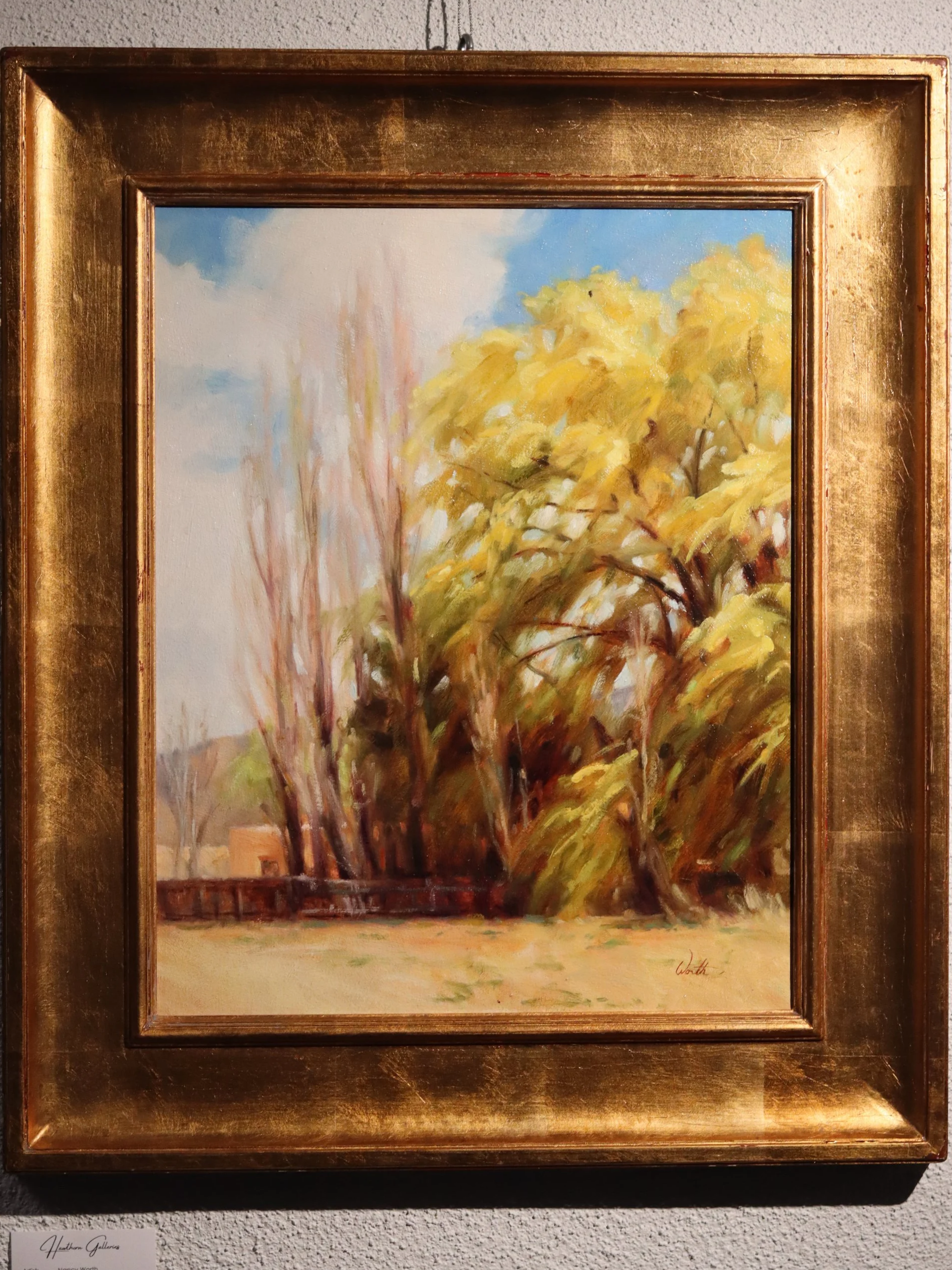 Nancy Worth - "Taos Wind"