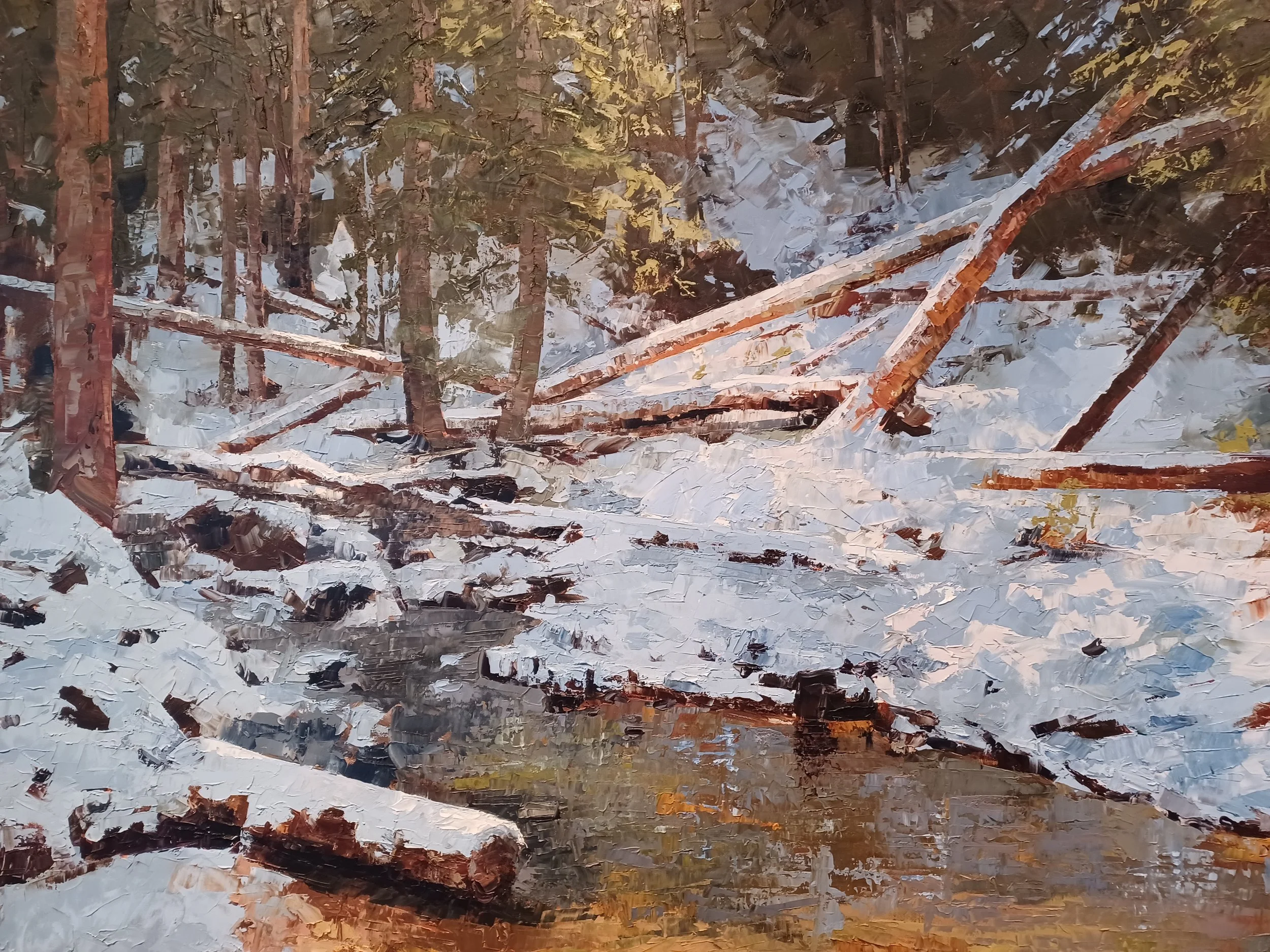 Tim Breaux "Stillness and Light"