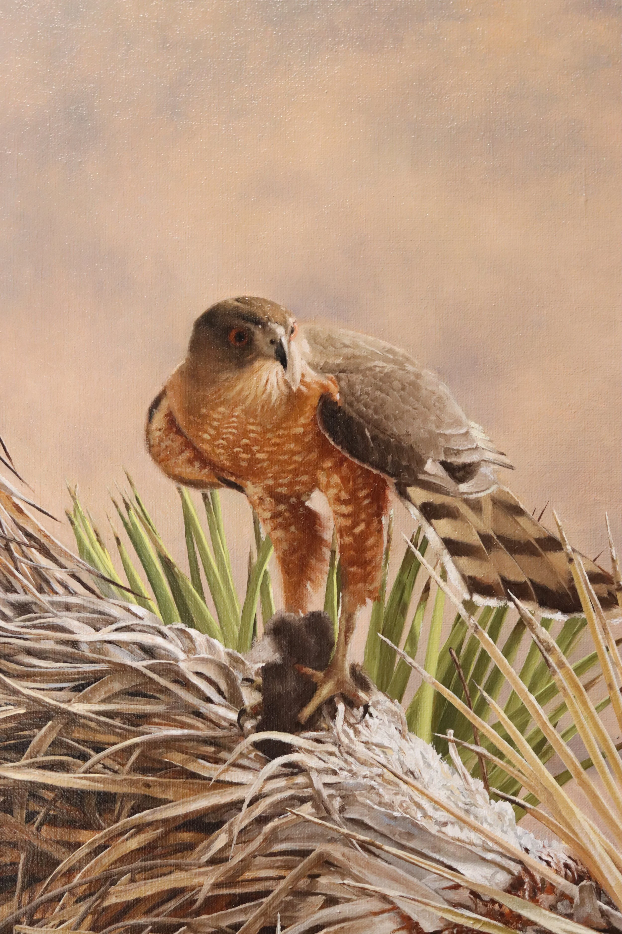 John Whytock "I See Hawks in J.T."