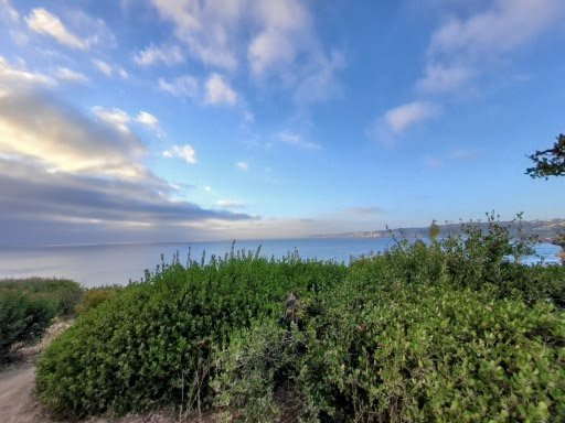 Scenic view of ocean with green bushes and shrubbery in the foreground, blue sky with clouds, and a distant coastline.