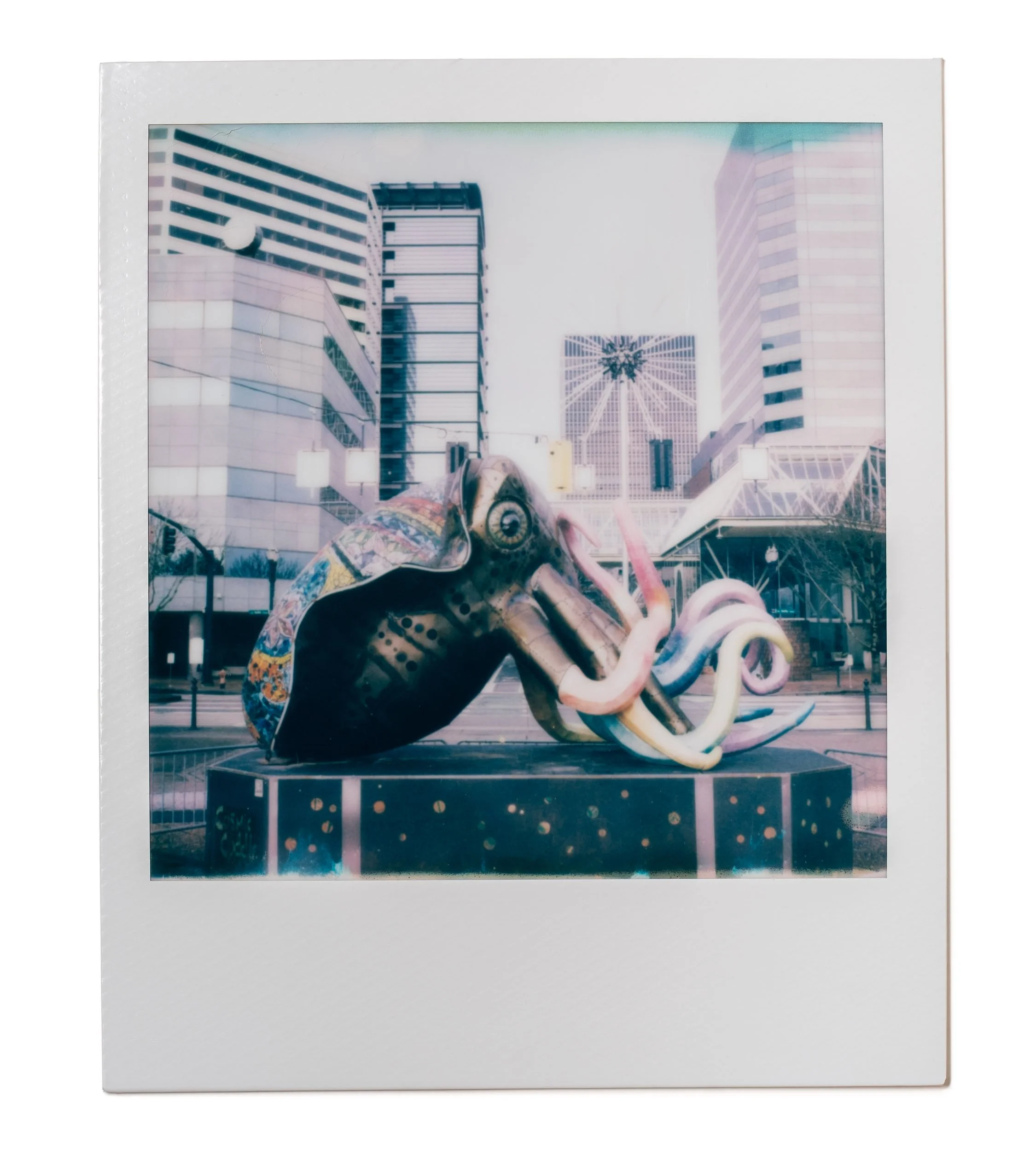 20260224-Polaroids-DSCF0133-Edit.jpg