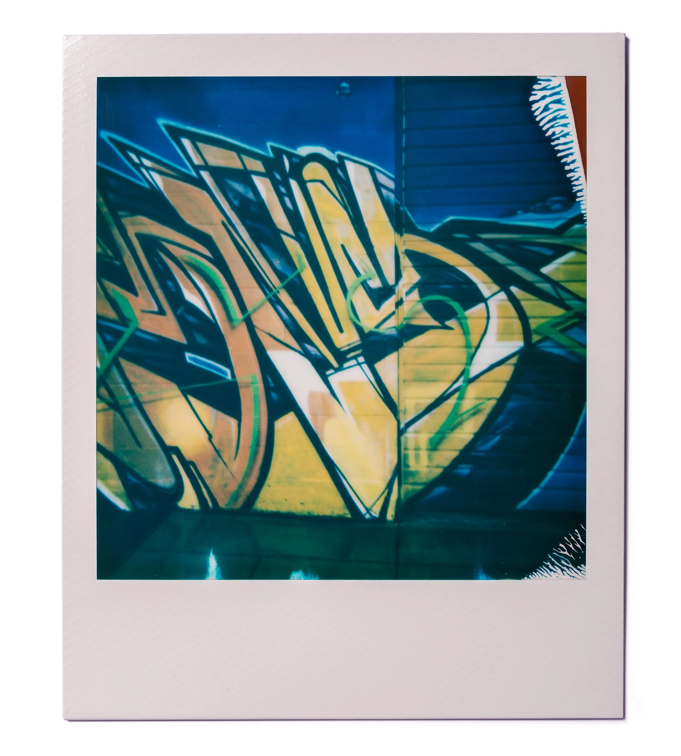 20260220-Polaroids-DSCF0095-Edit.jpg