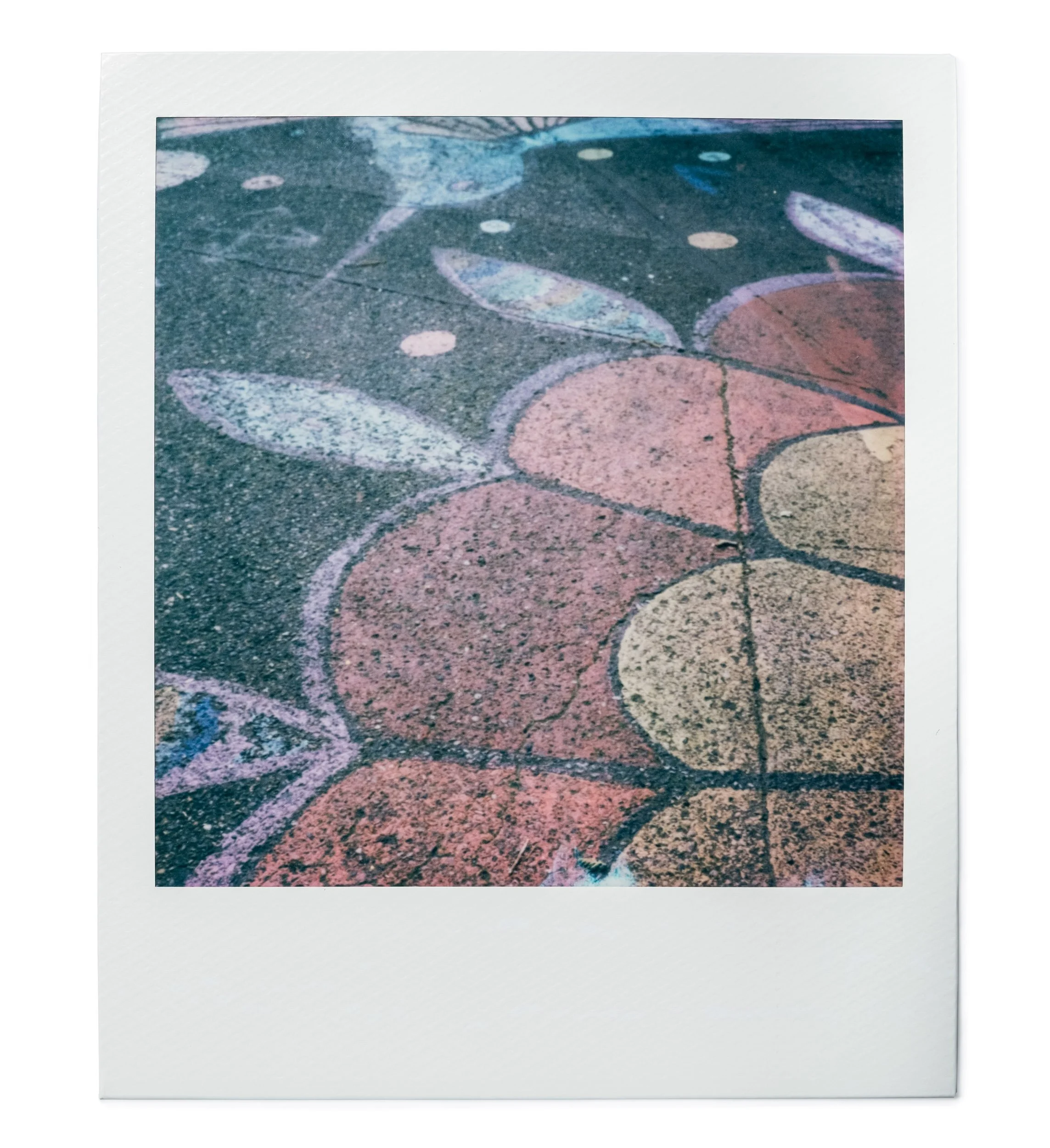 20260327-Polaroids-DSCF0748-Edit.jpg