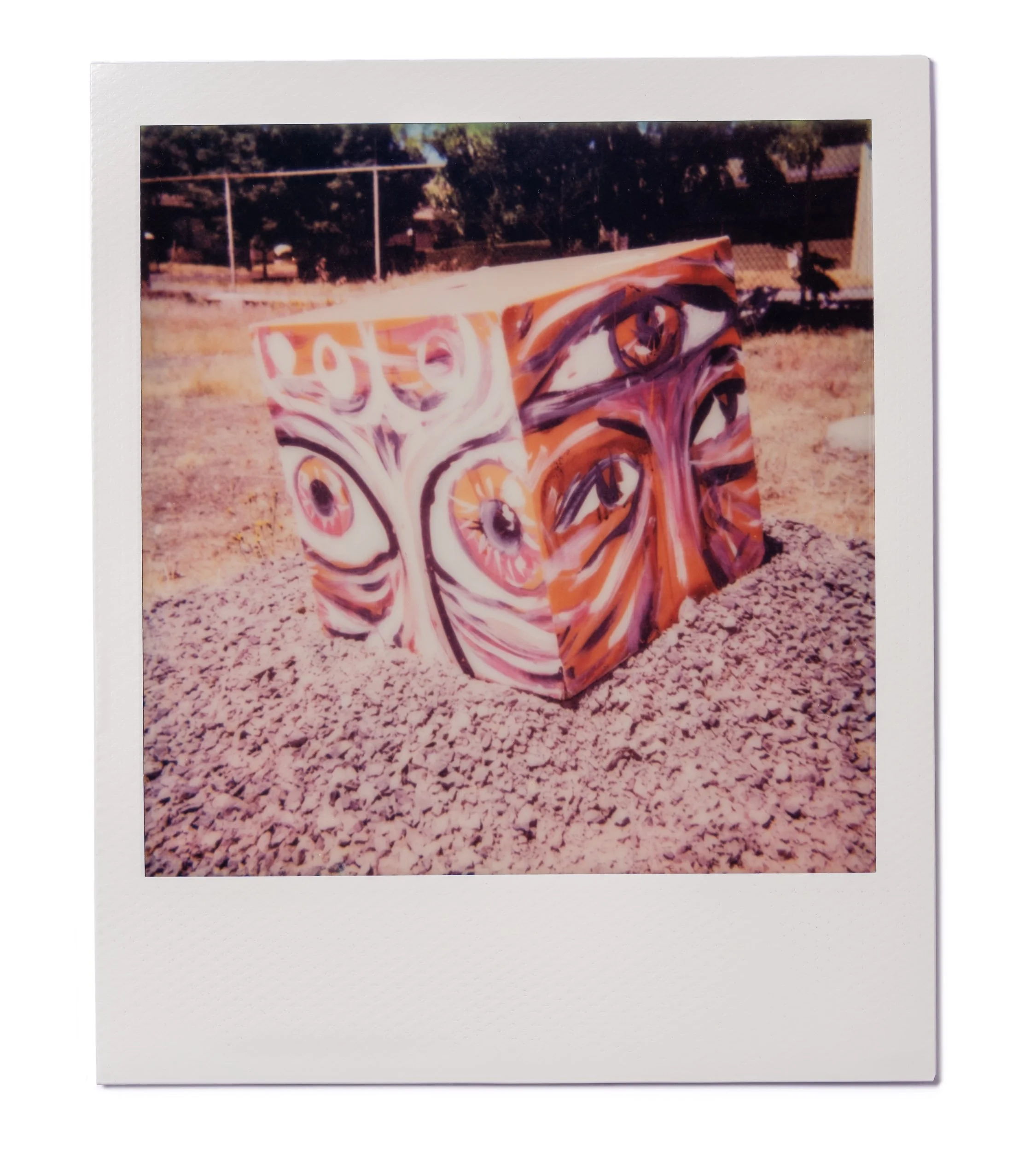 20260220-Polaroids-DSCF0107-Edit.jpg