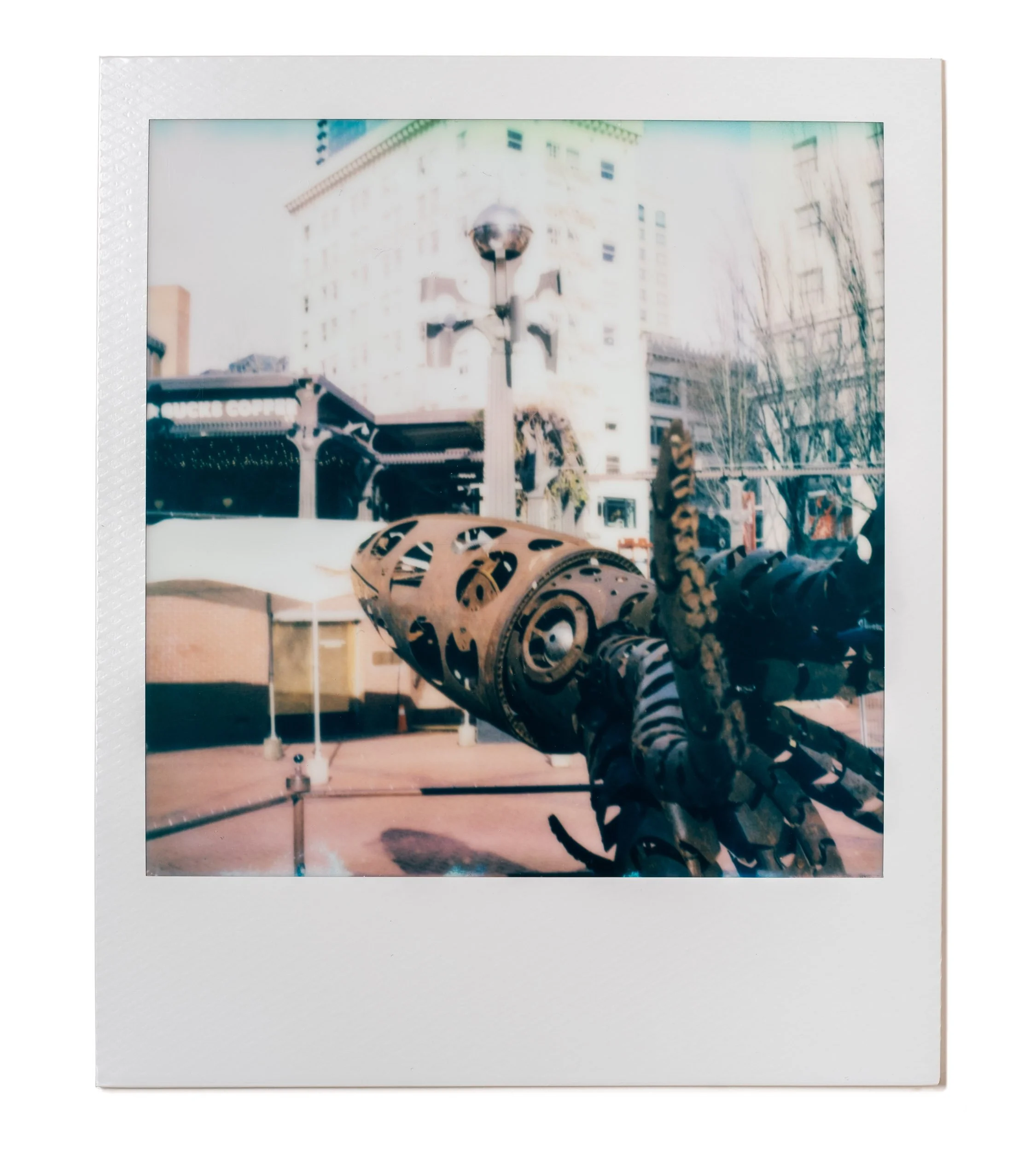 20260224-Polaroids-DSCF0135-Edit.jpg