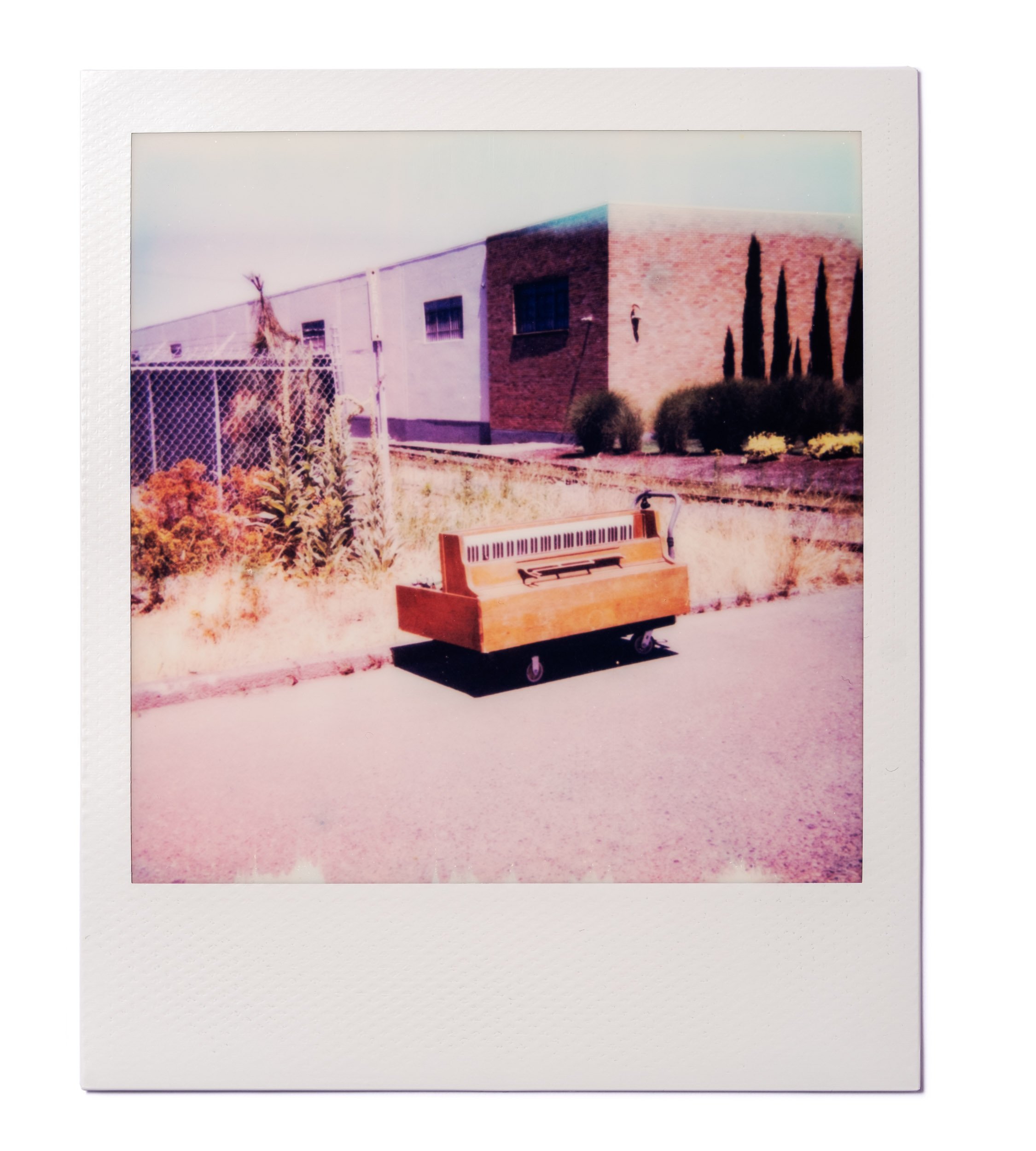 20260220-Polaroids-DSCF0106-Edit.jpg